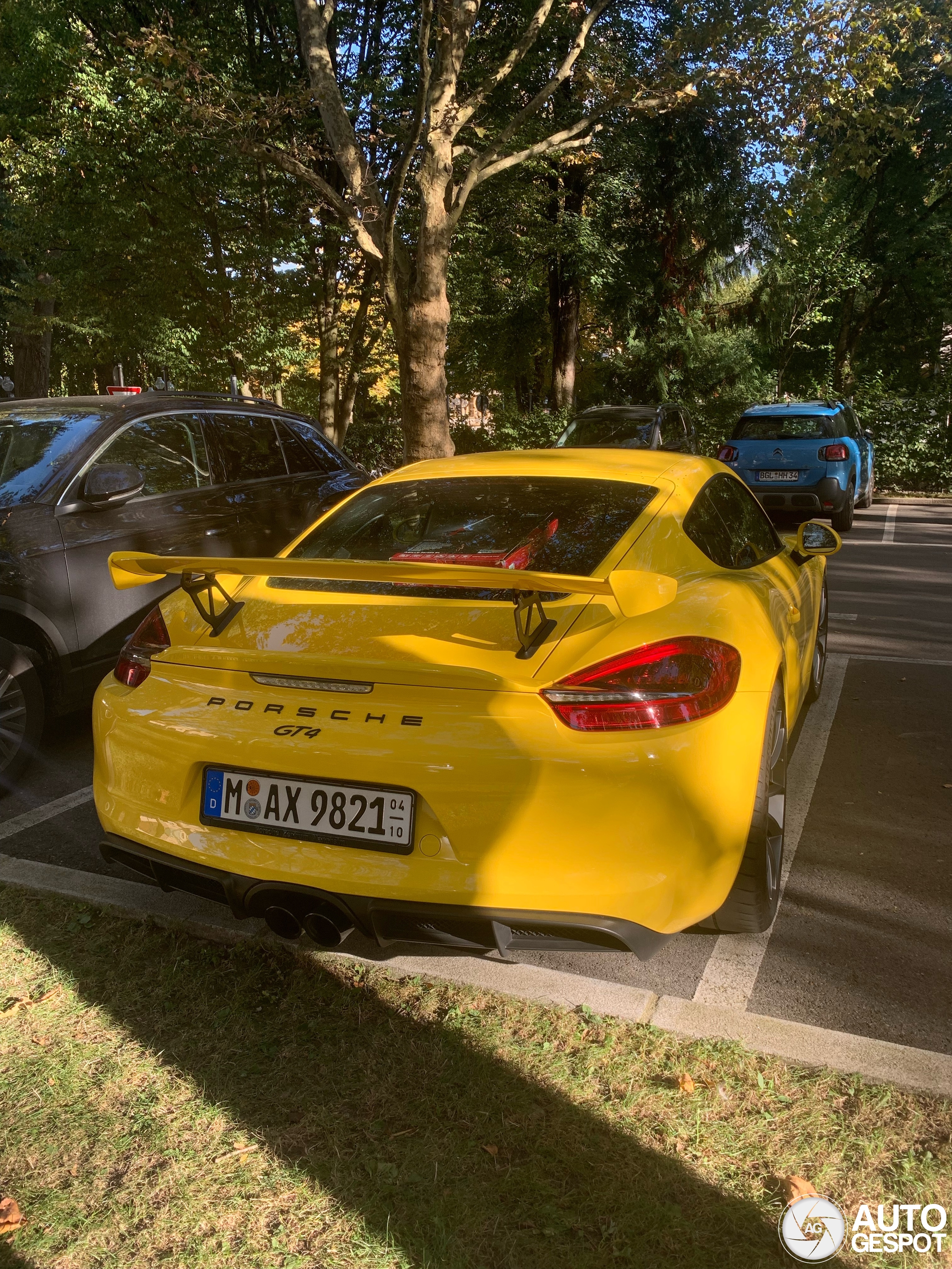 Porsche 981 Cayman GT4