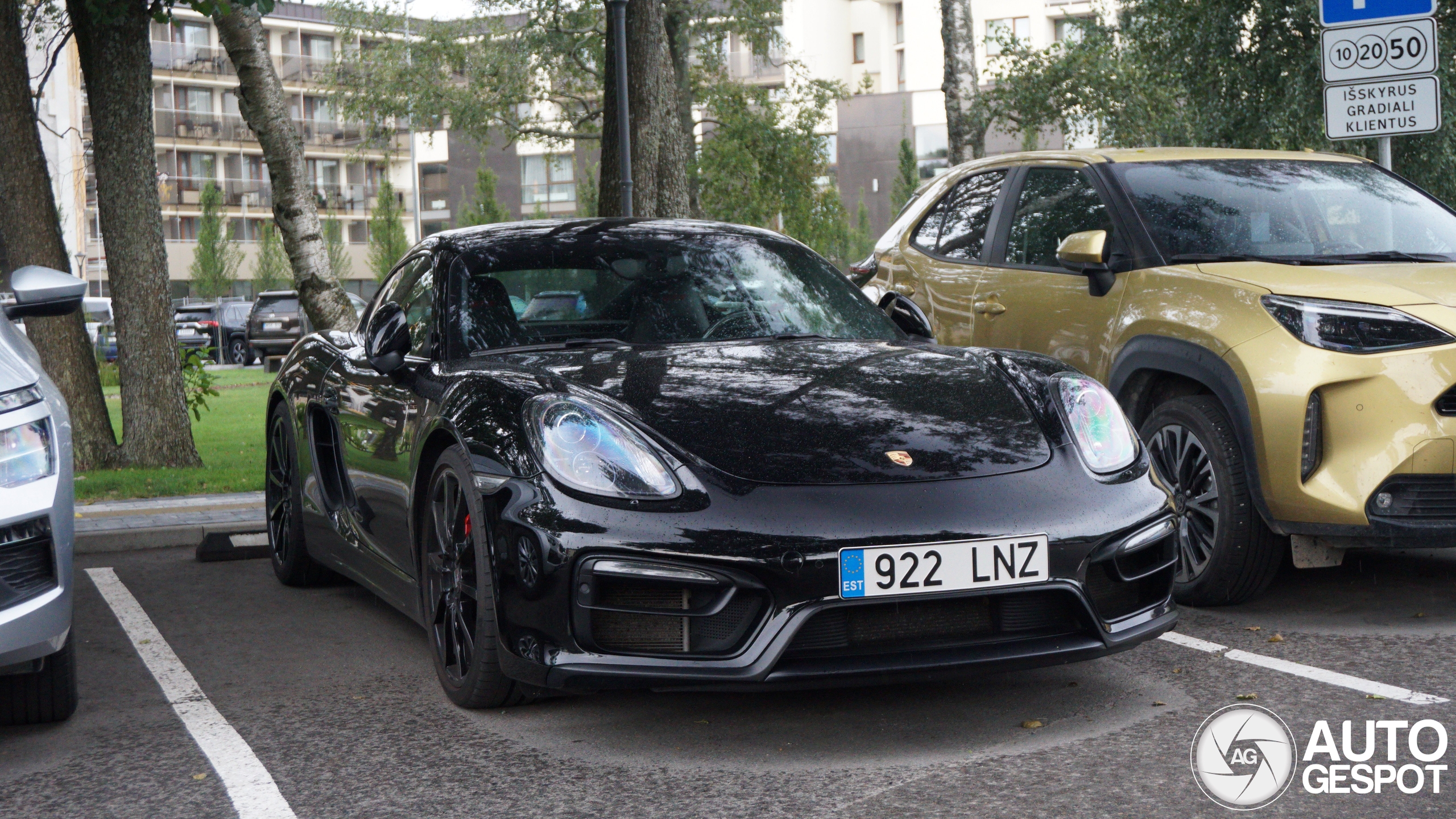 Porsche 981 Cayman GTS