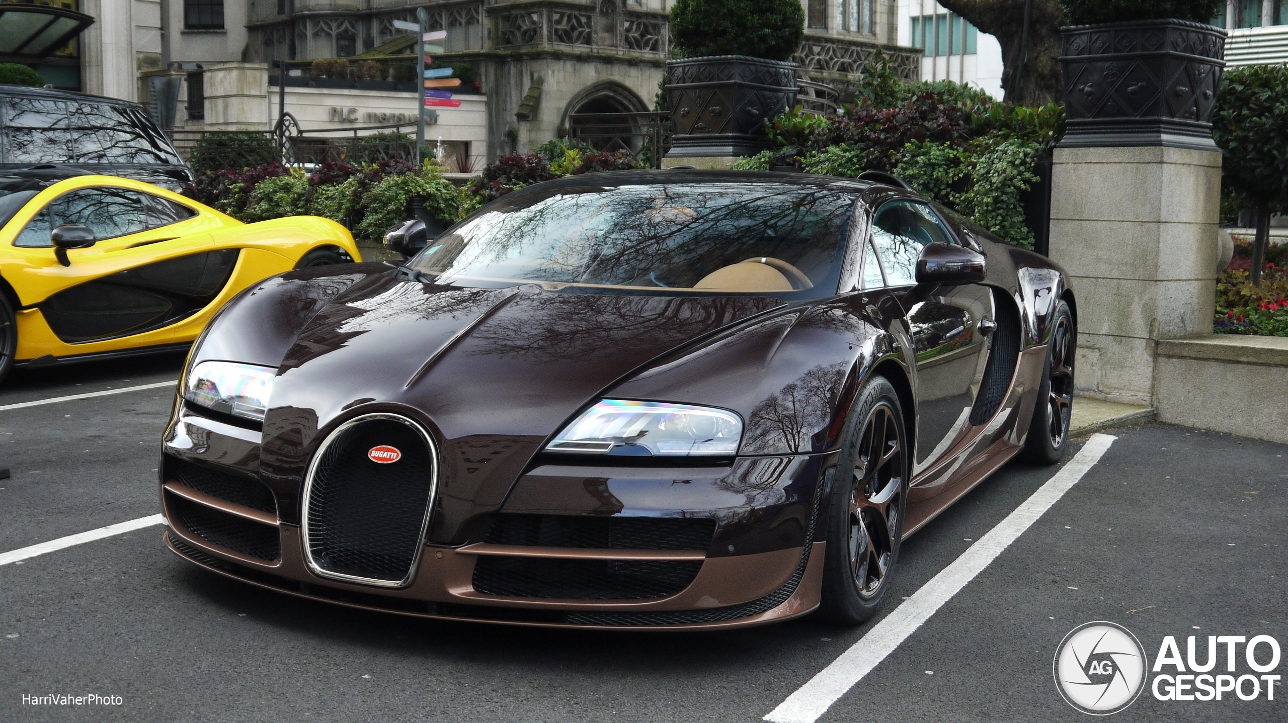 Bugatti Veyron 16.4 Grand Sport Vitesse Rembrandt Bugatti