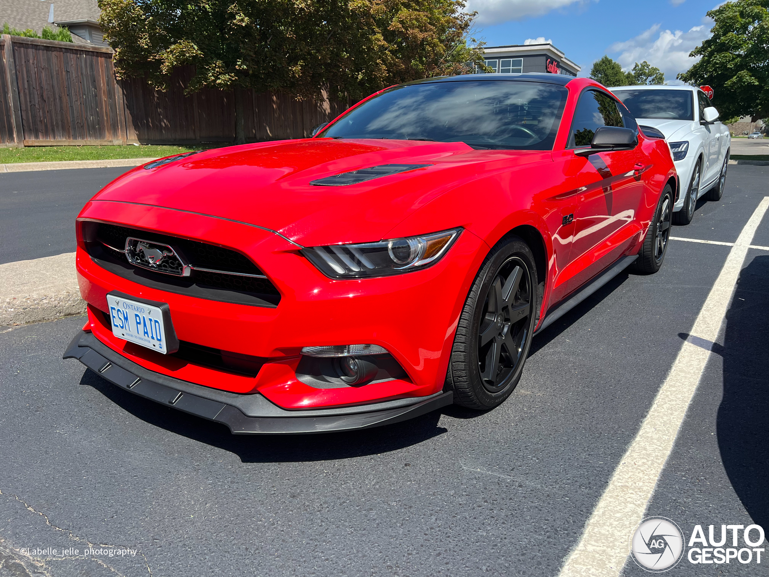 Ford Mustang GT 50th Anniversary Edition