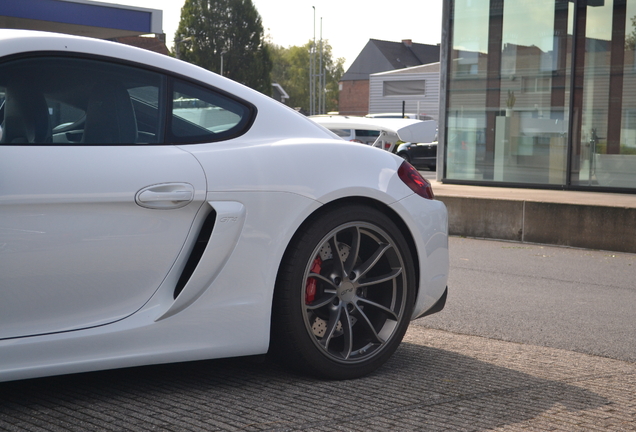 Porsche 981 Cayman GT4