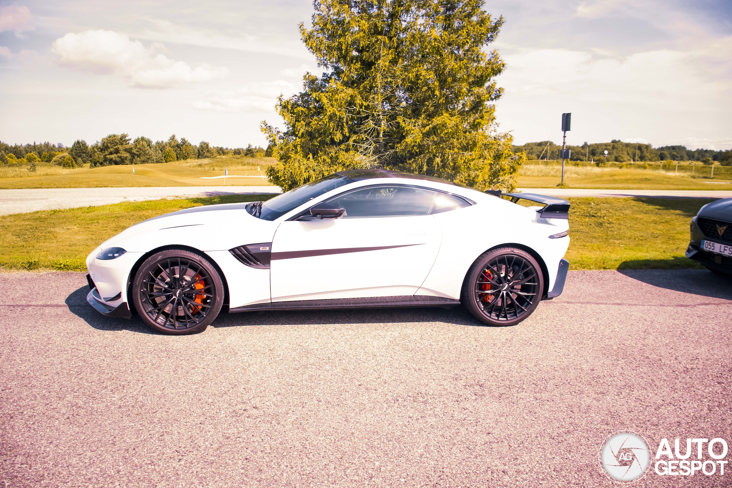 Aston Martin V8 Vantage Formula 1 Edition