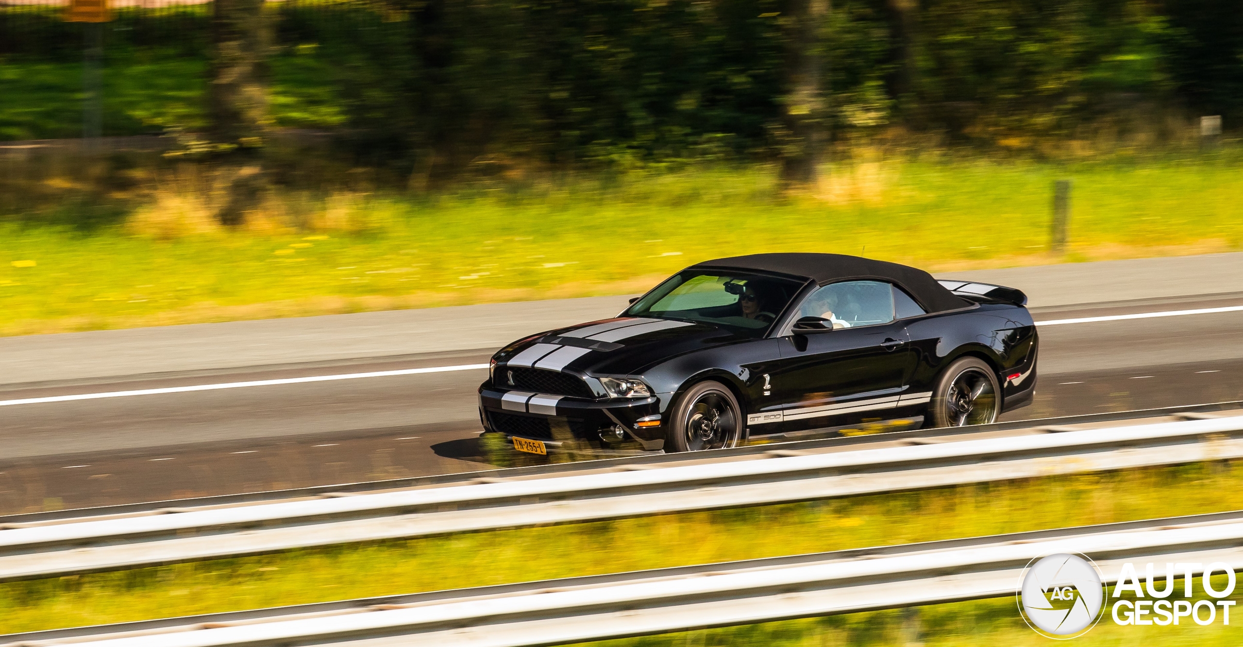 Ford Mustang Shelby GT500 Convertible 2010