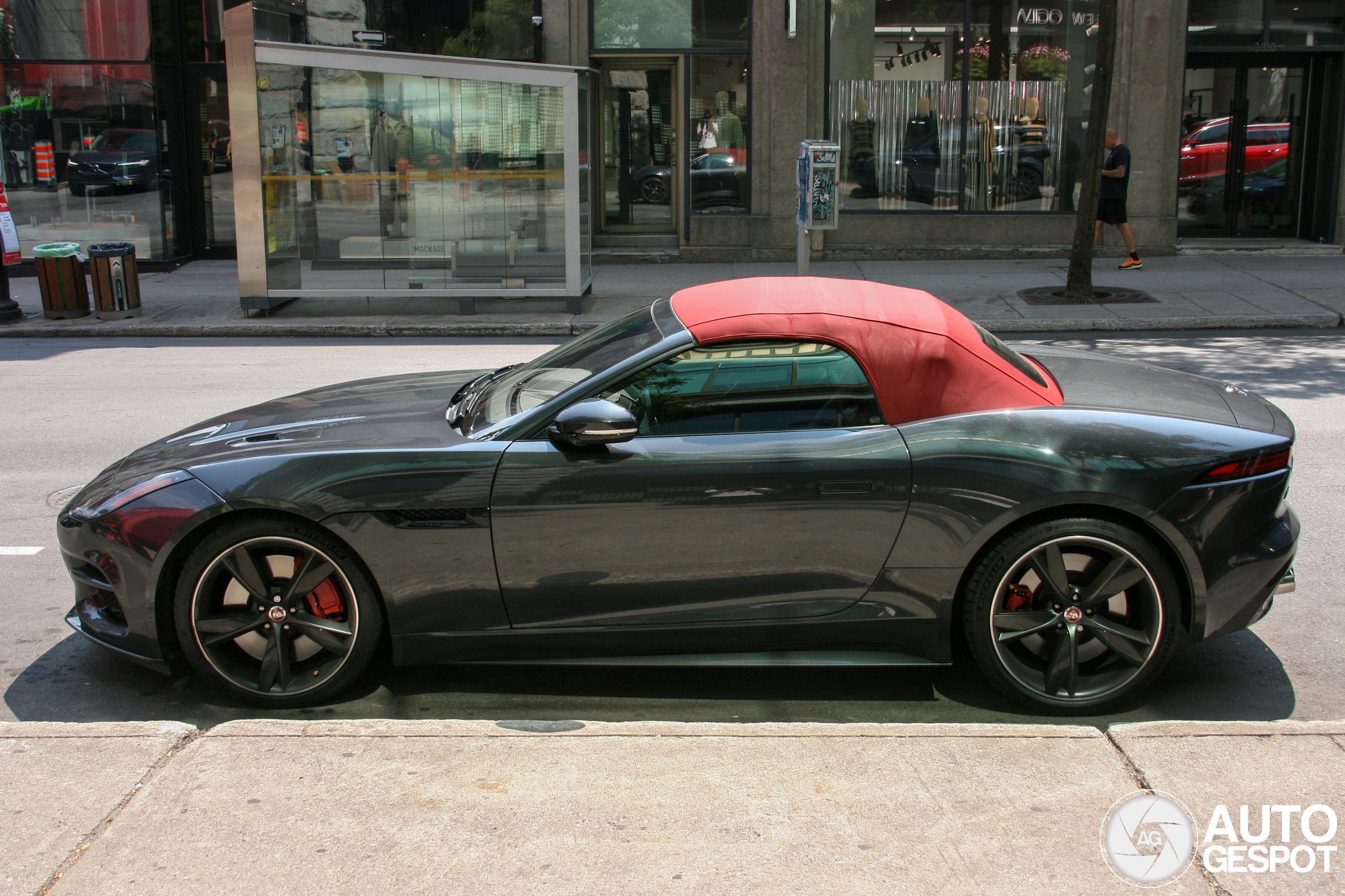 Jaguar F-TYPE R Convertible 2017