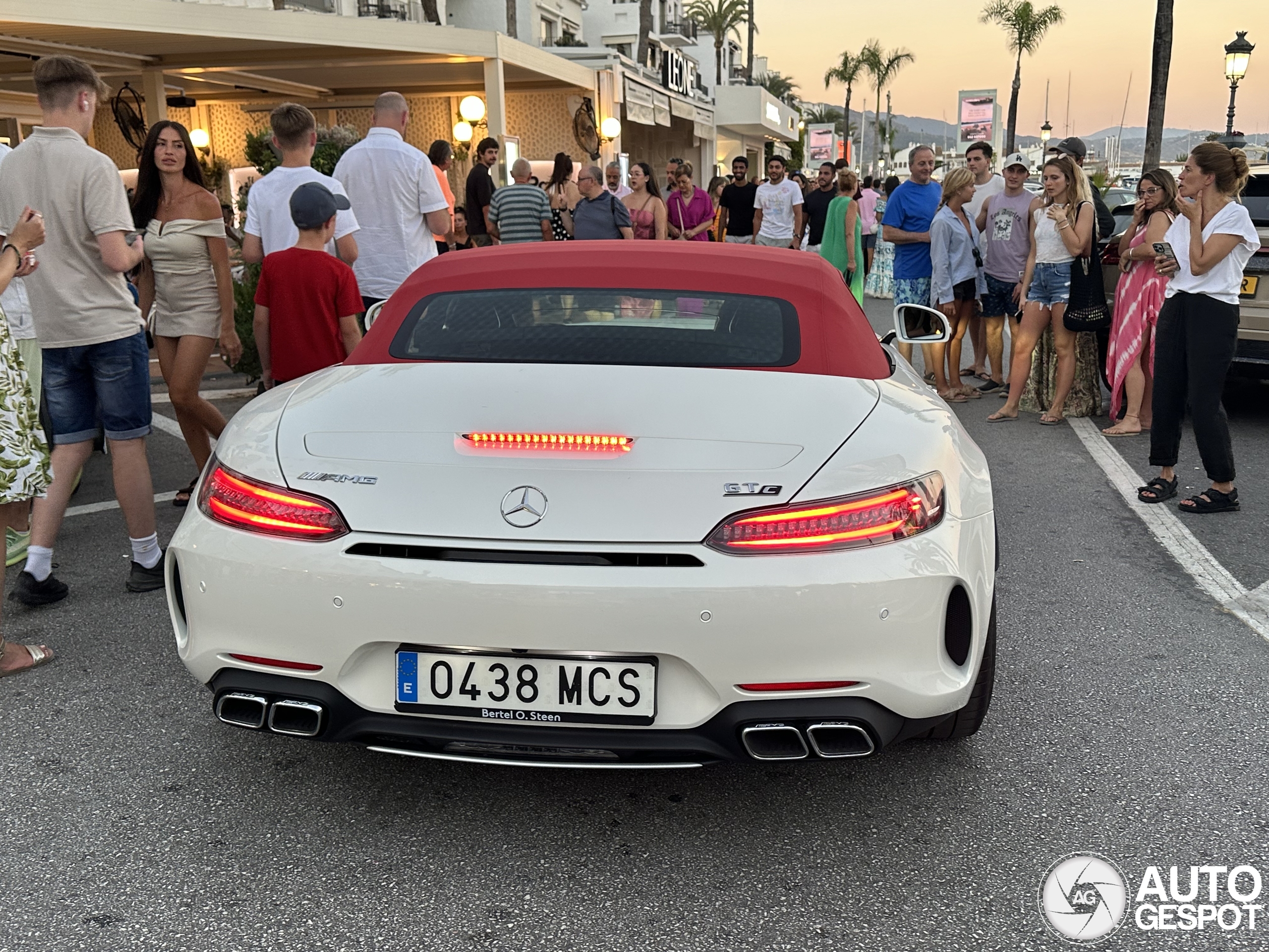 Mercedes-AMG GT C Roadster R190 2019