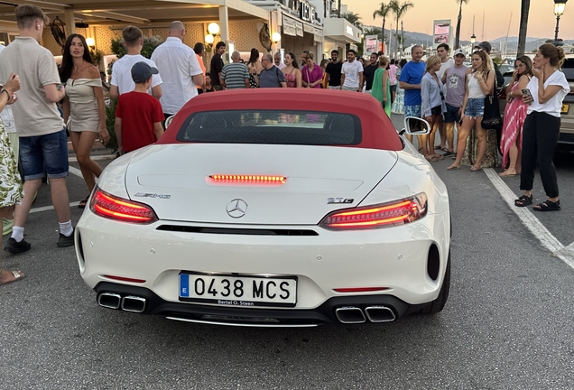 Mercedes-AMG GT C Roadster R190 2019