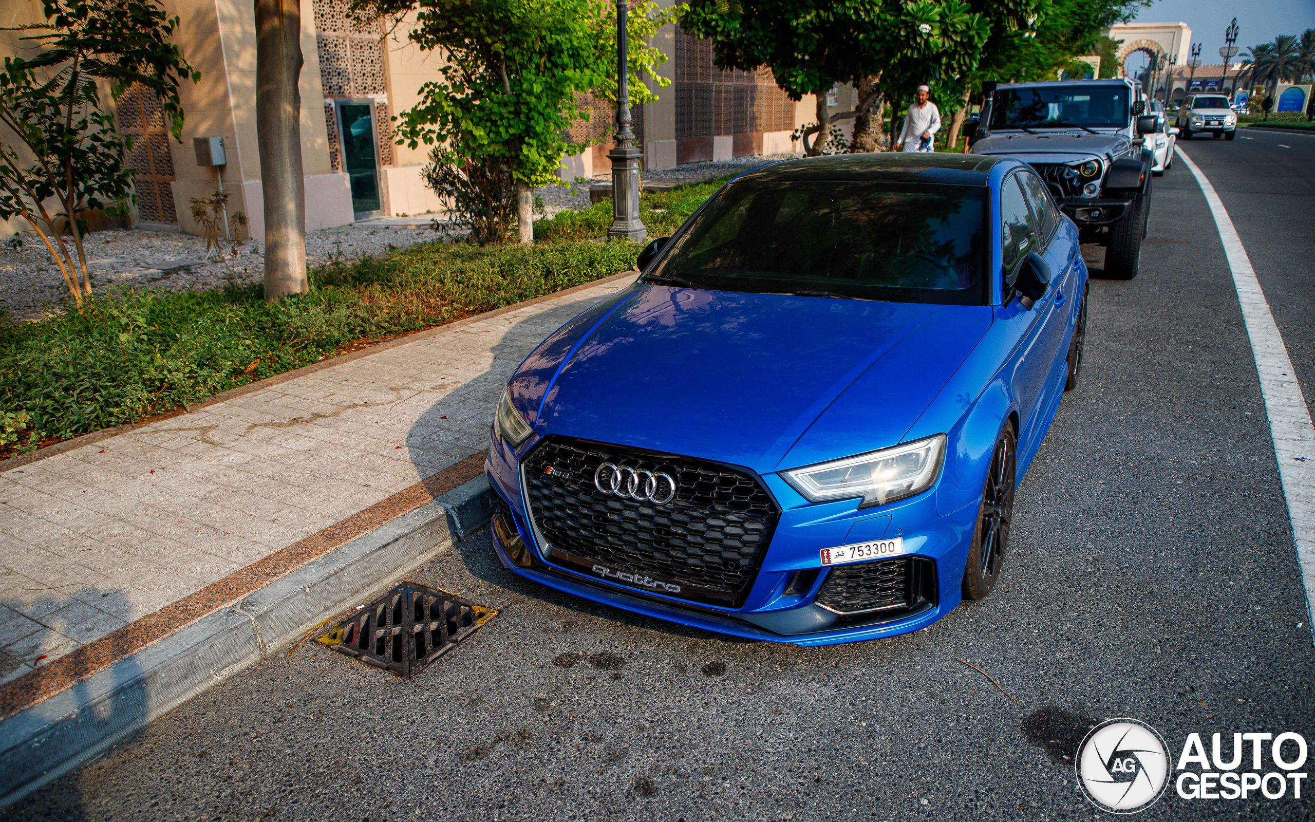 Audi RS3 Sedan 8V