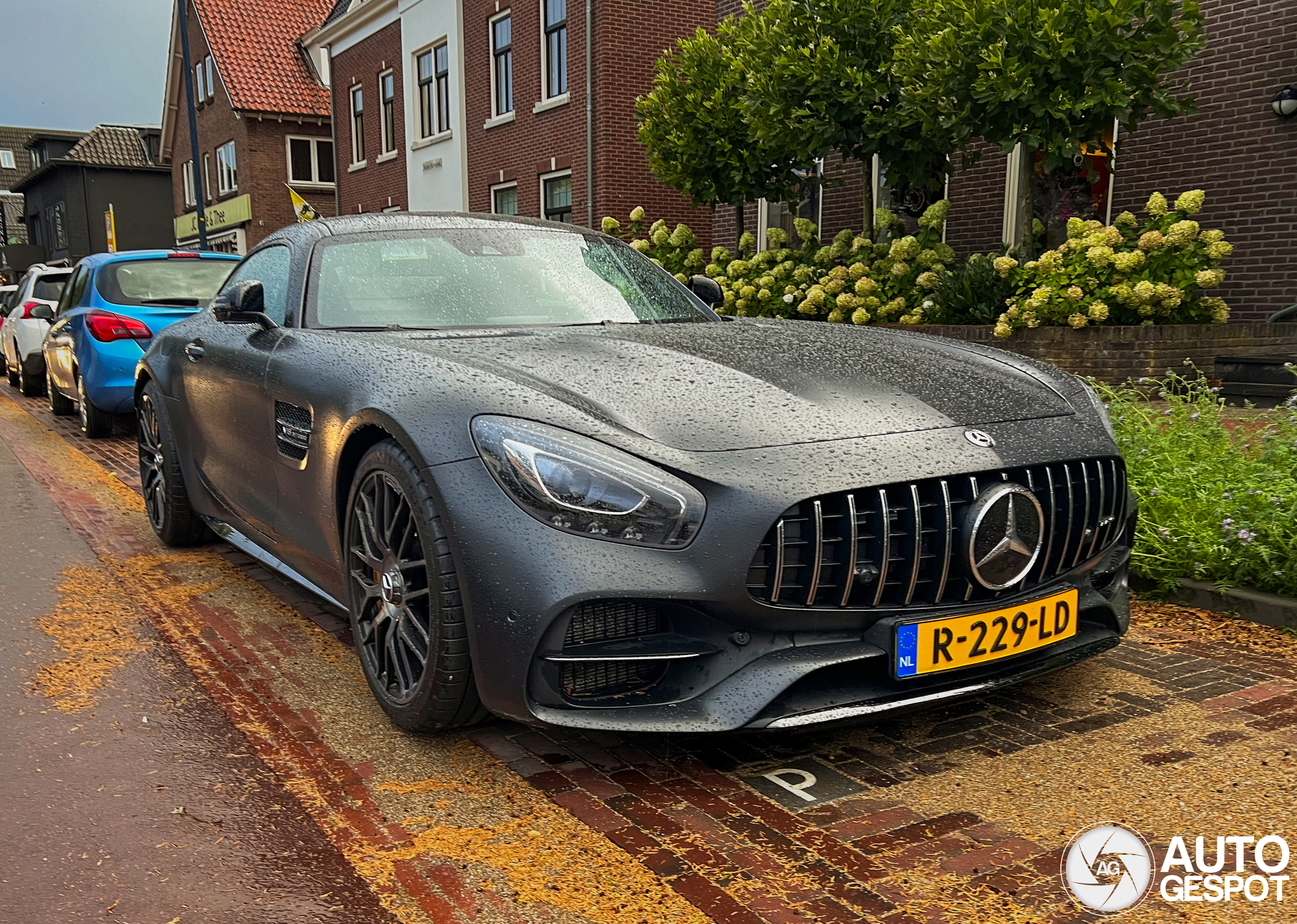 Mercedes-AMG GT C Edition 50 C190 2017