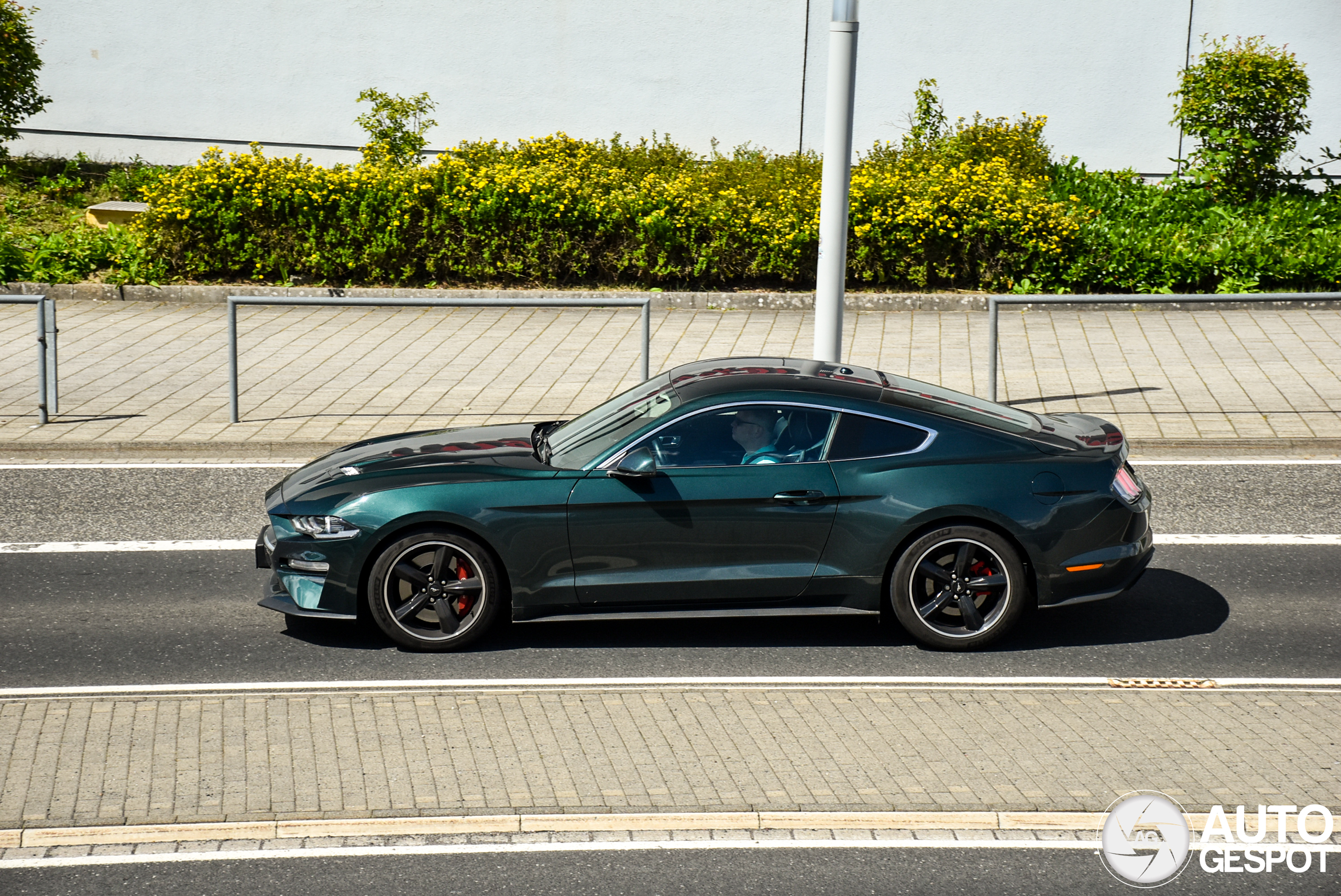 Ford Mustang Bullitt 2019