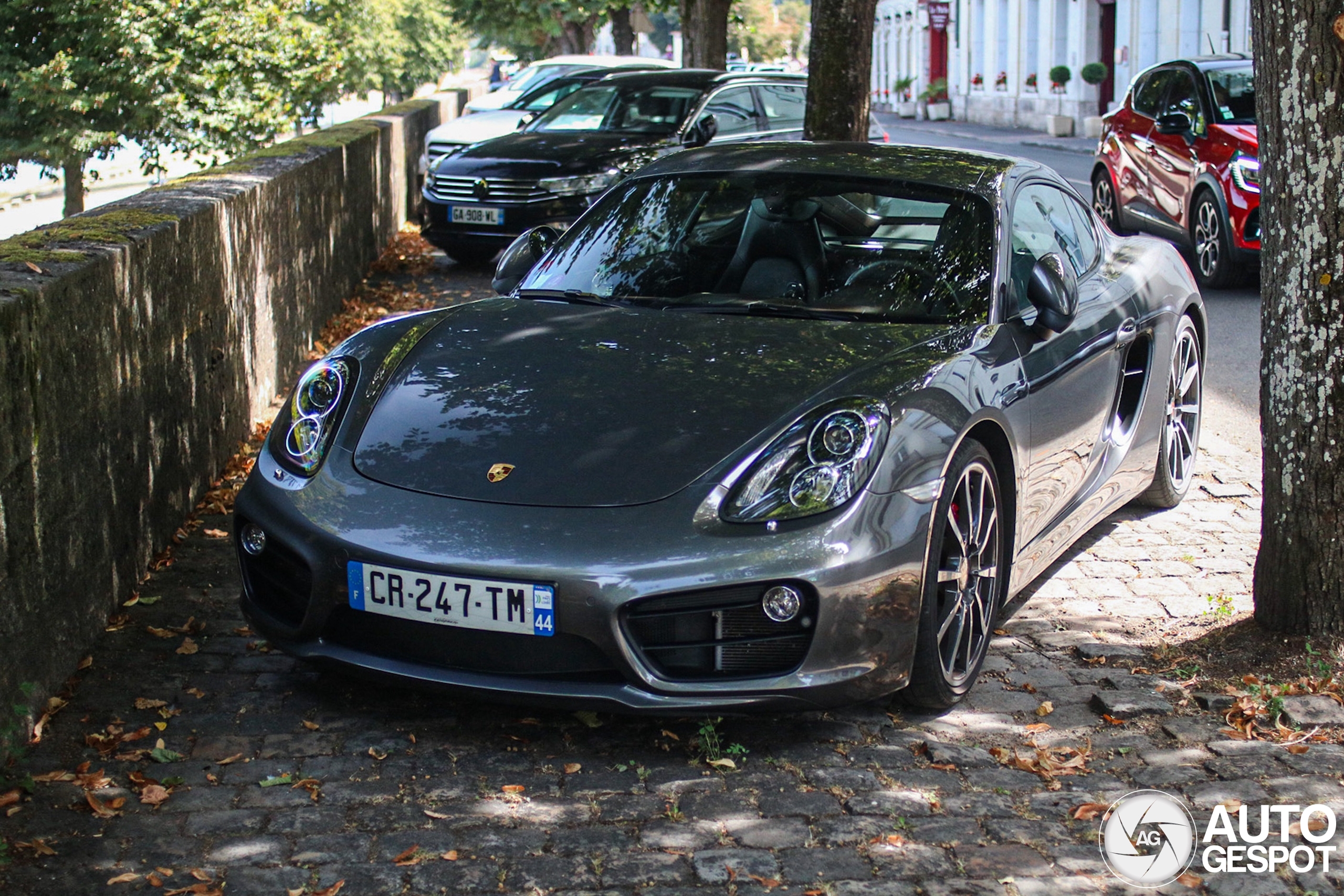 Porsche 981 Cayman S