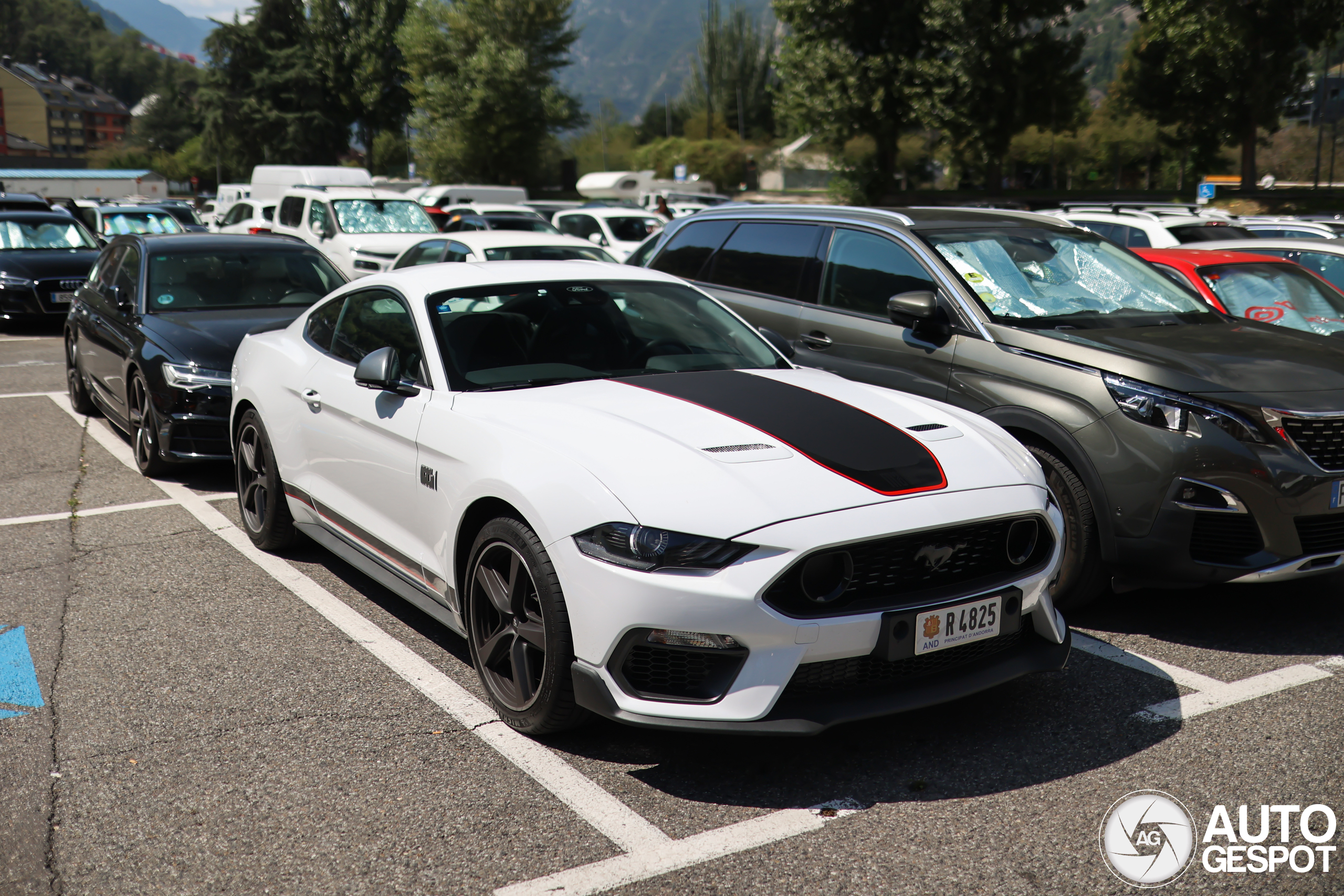 Ford Mustang Mach 1 2021