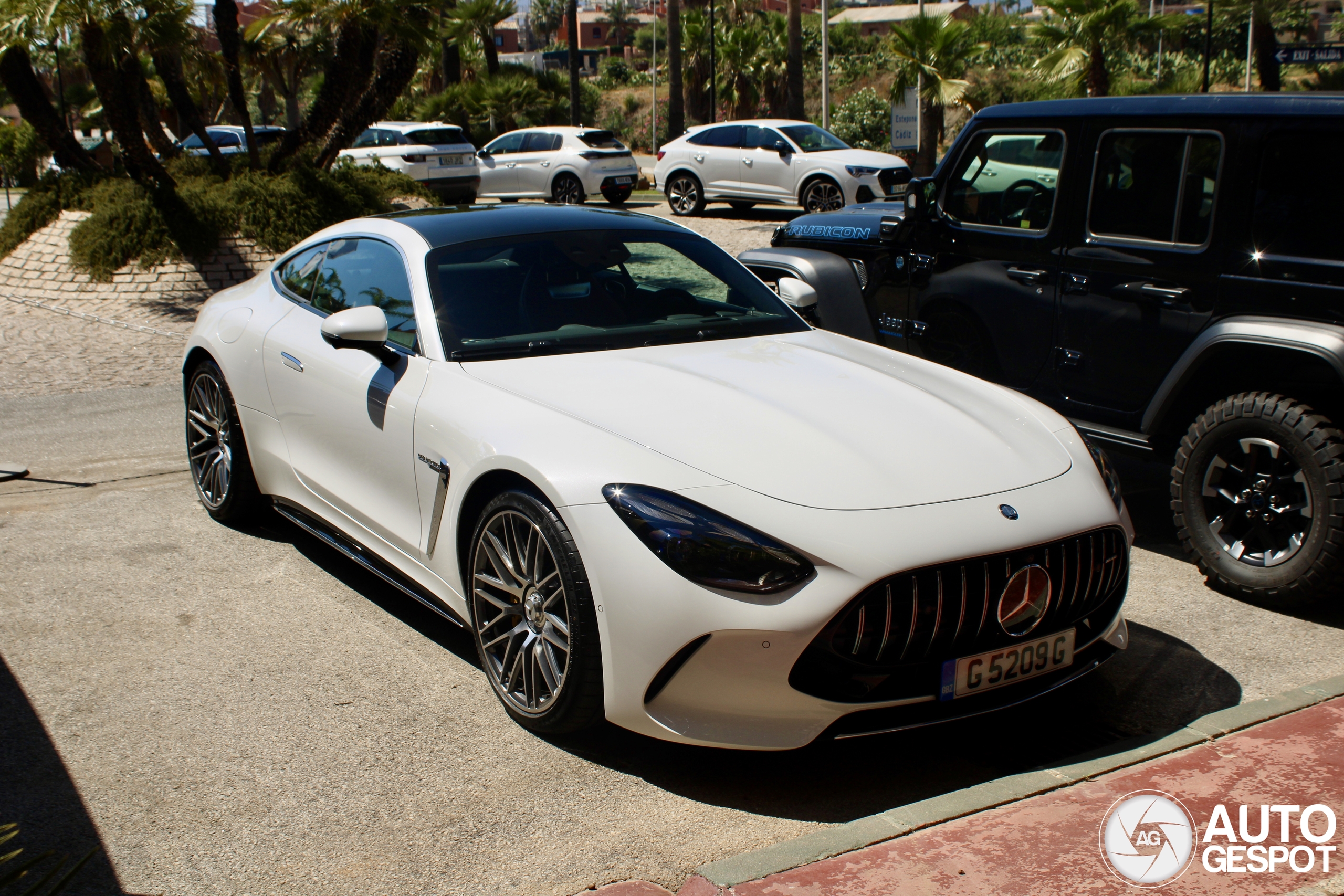 Mercedes-AMG GT 63 C192