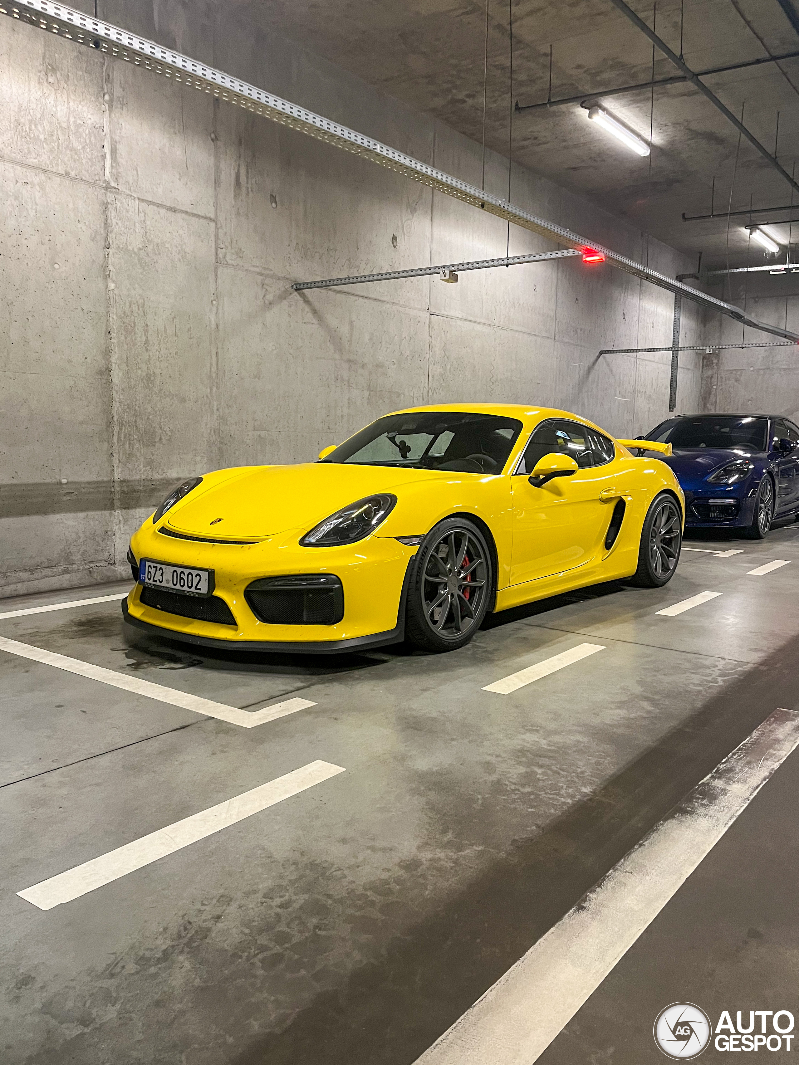 Porsche 981 Cayman GT4