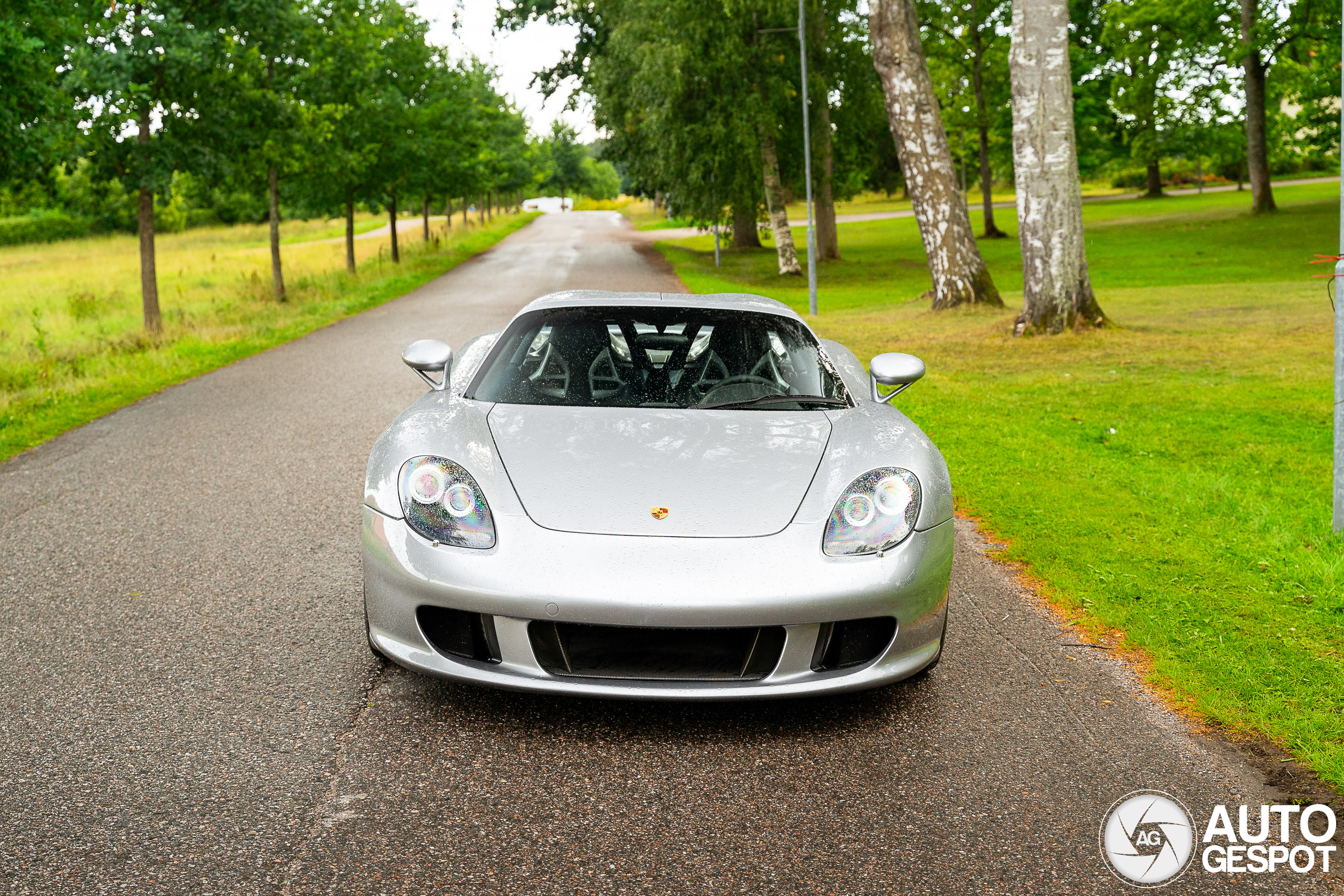 Porsche Carrera GT