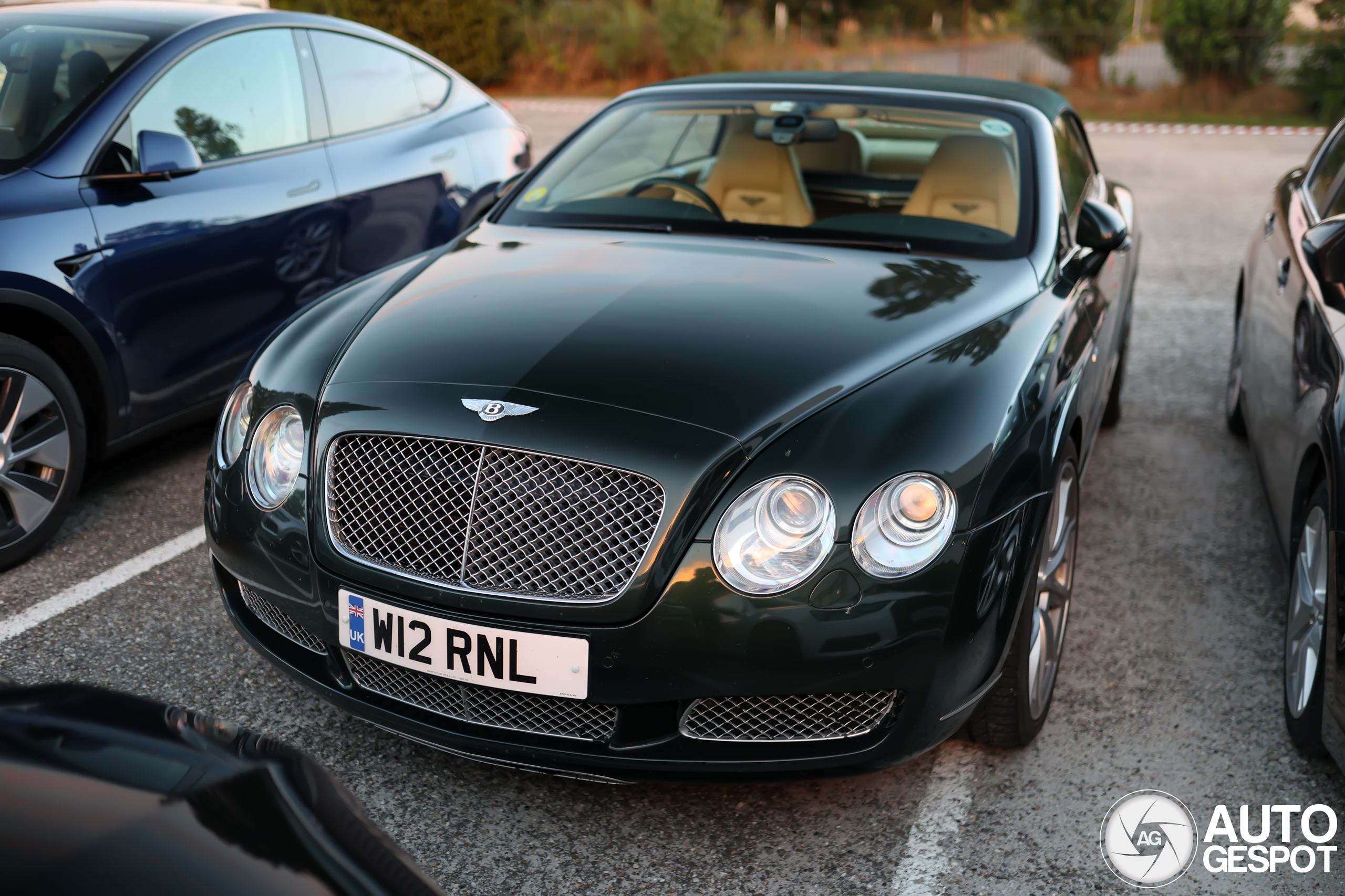 Bentley Continental GTC