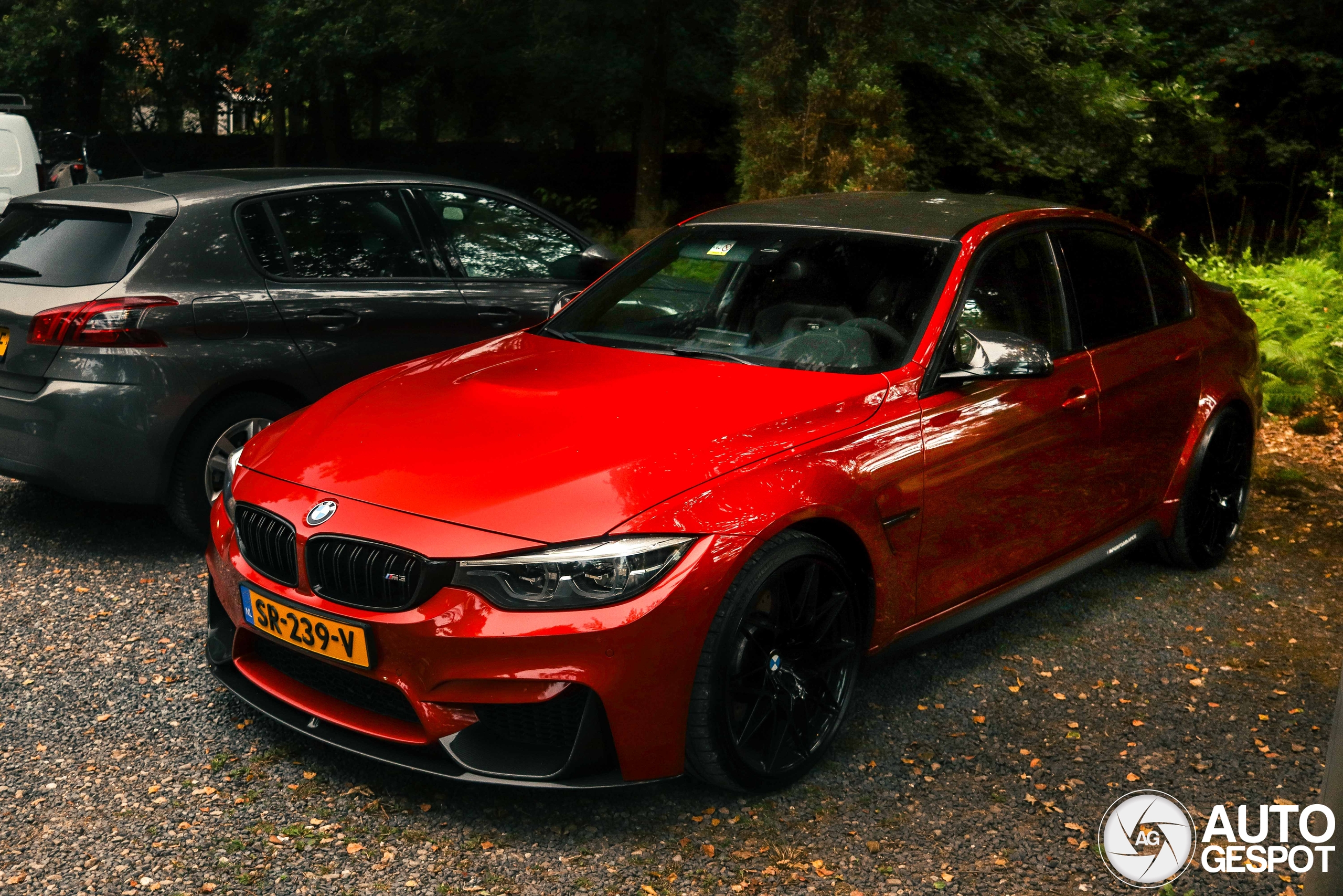 BMW M3 F80 Sedan