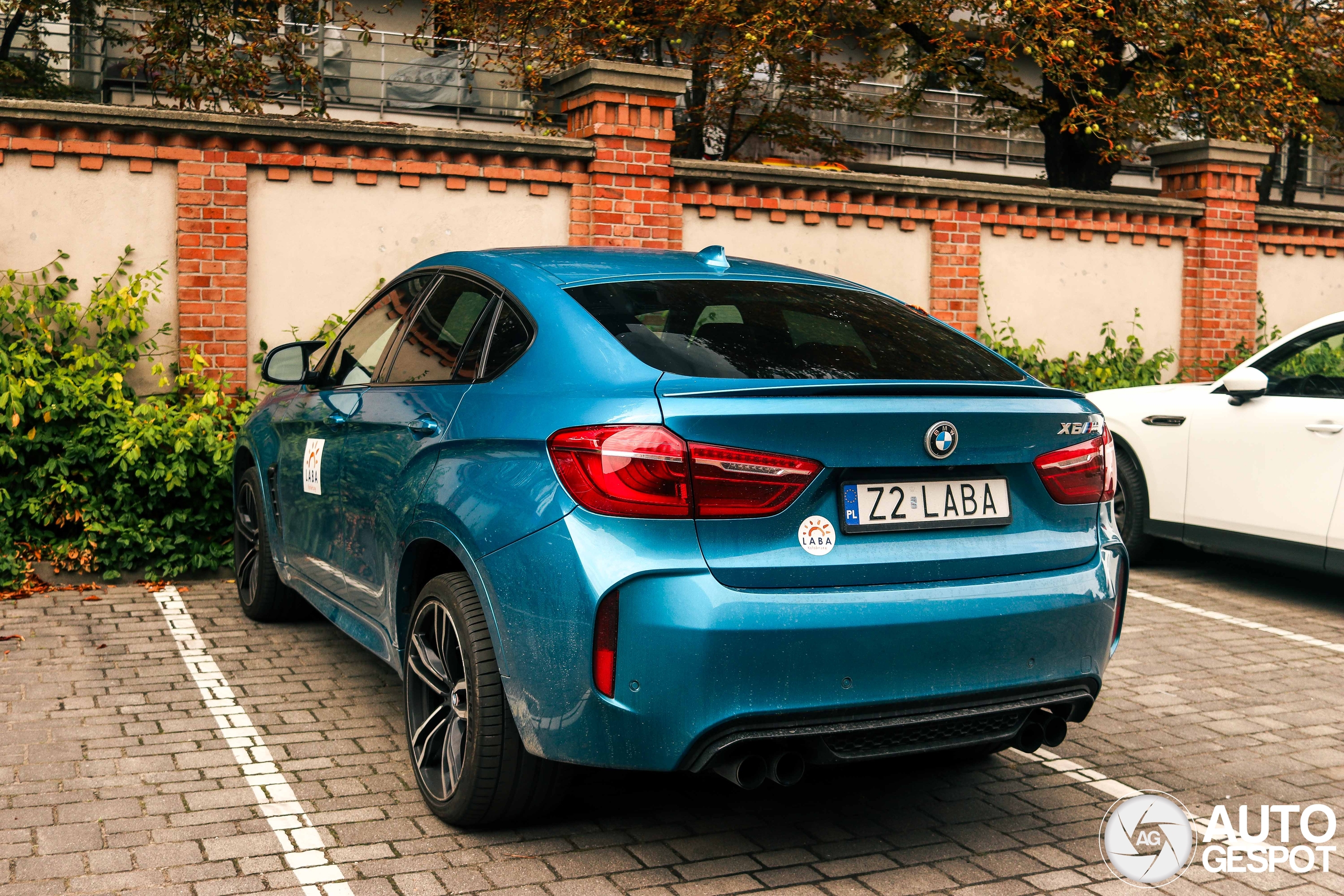 BMW X6 M F86