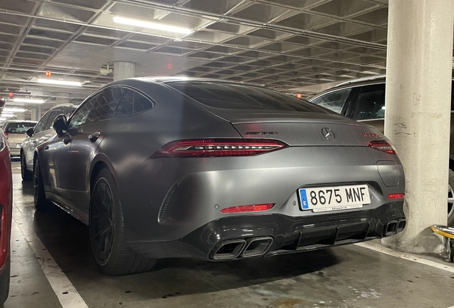 Mercedes-AMG GT 63 S E Performance X290 2024