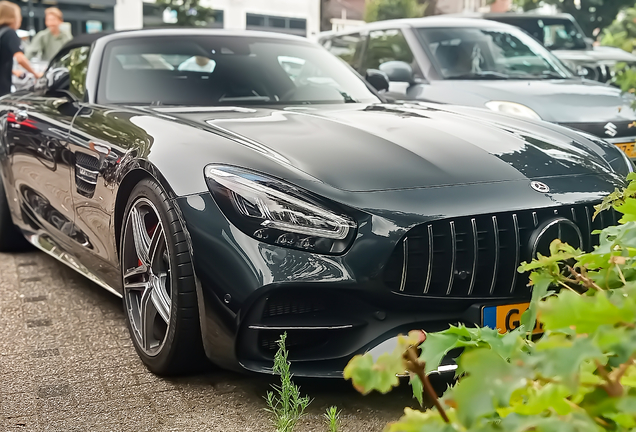 Mercedes-AMG GT C Roadster R190 2019