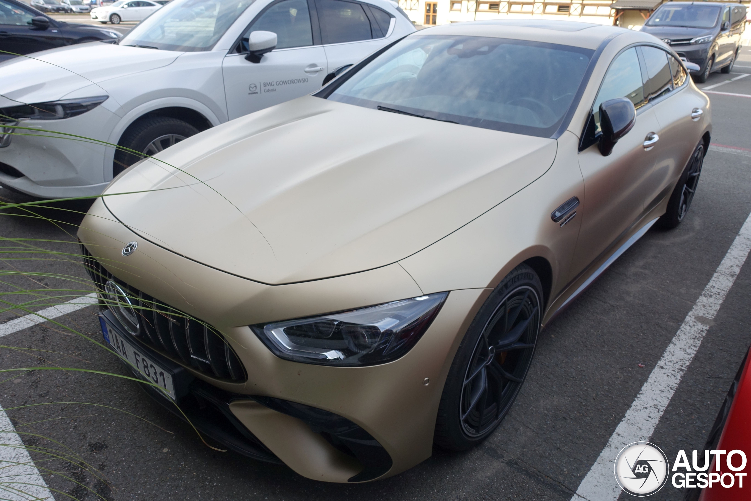 Mercedes-AMG GT 63 S E Performance X290