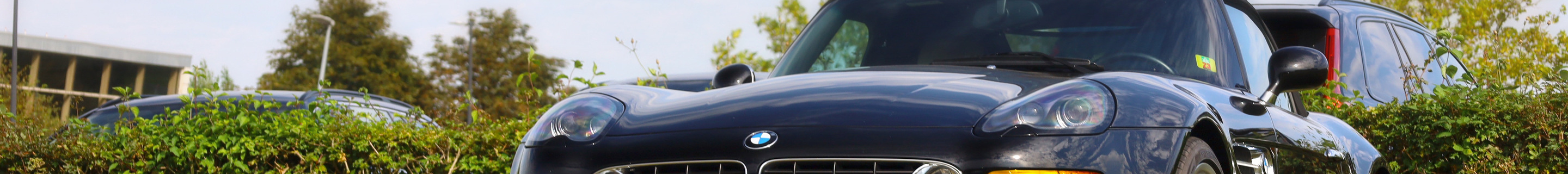 Alpina Roadster V8