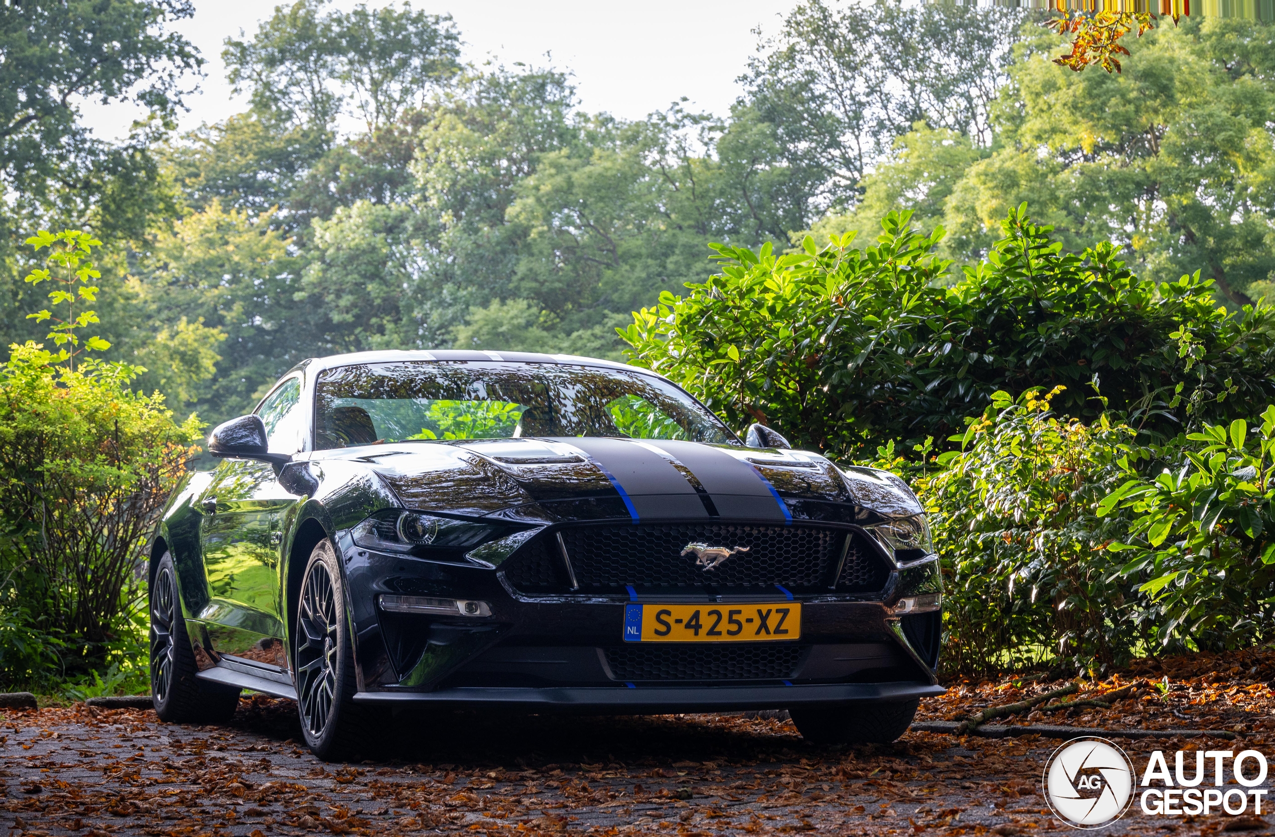 Ford Mustang GT 2018