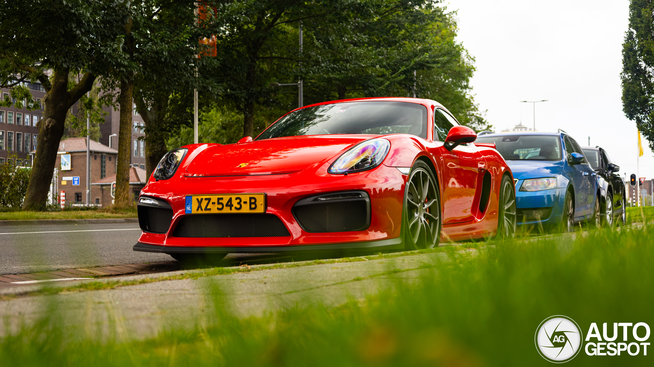 Porsche 981 Cayman GT4