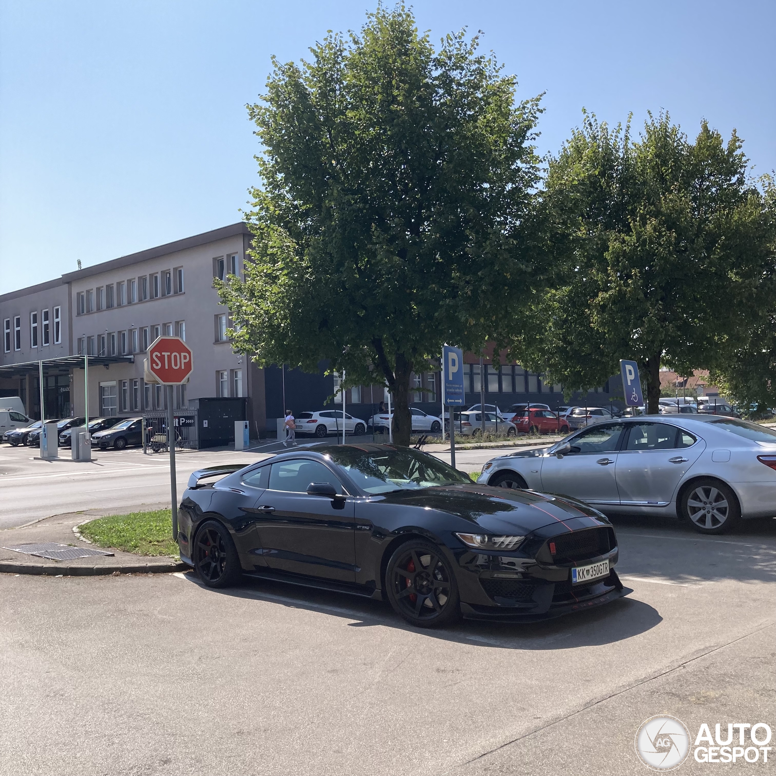 Ford Mustang Shelby GT350R 2015