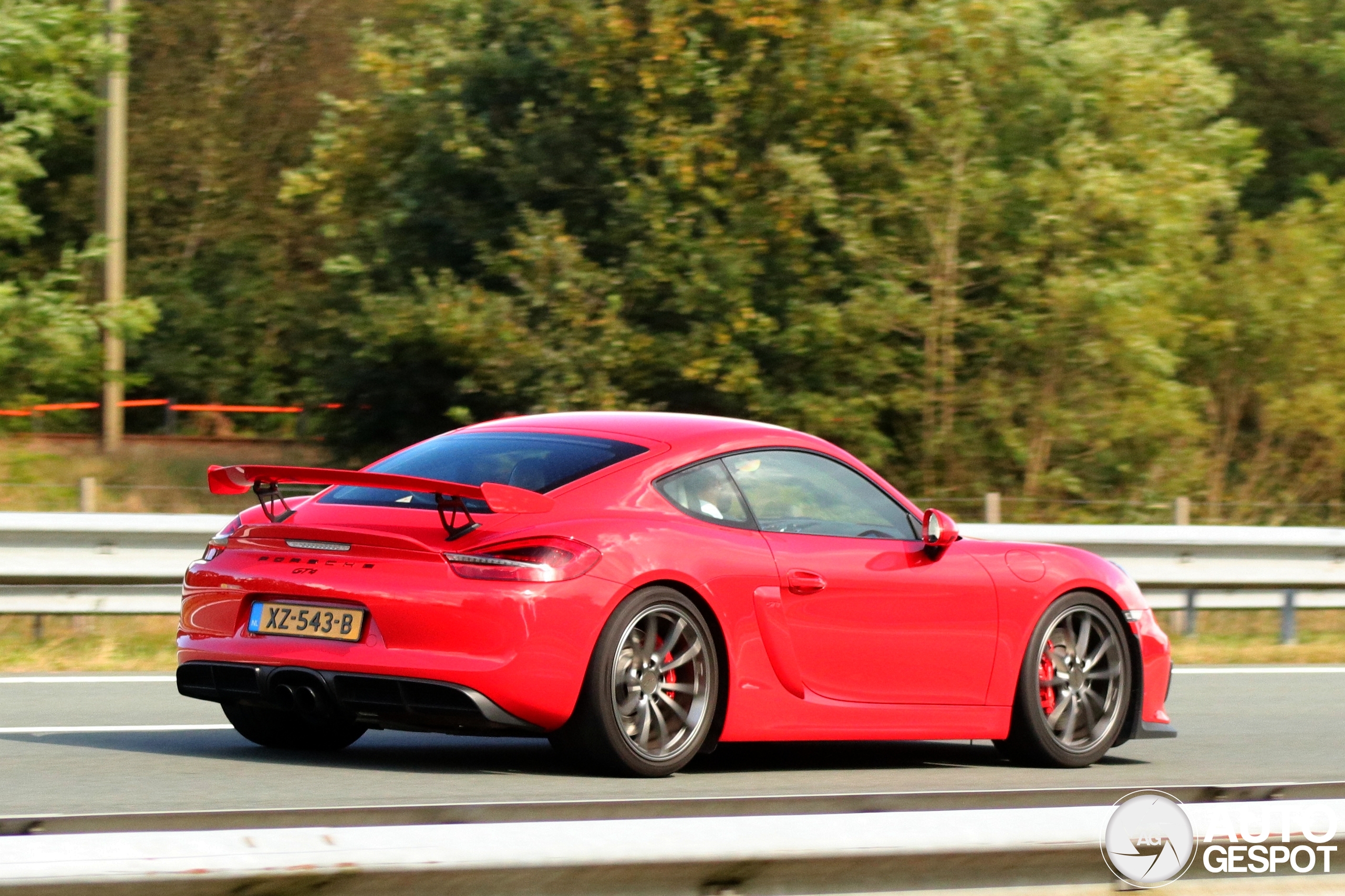 Porsche 981 Cayman GT4