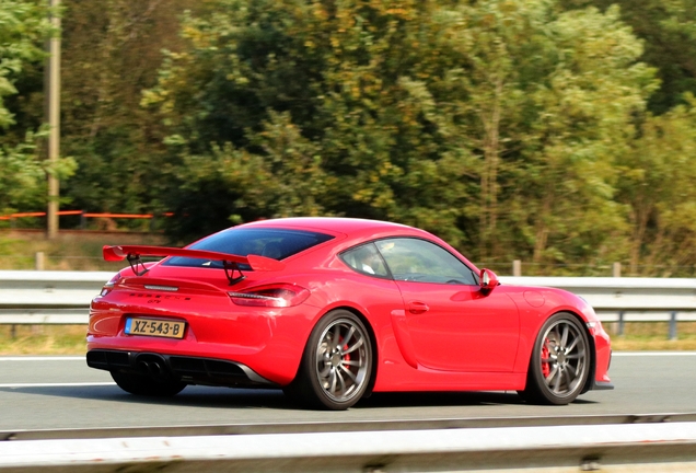 Porsche 981 Cayman GT4