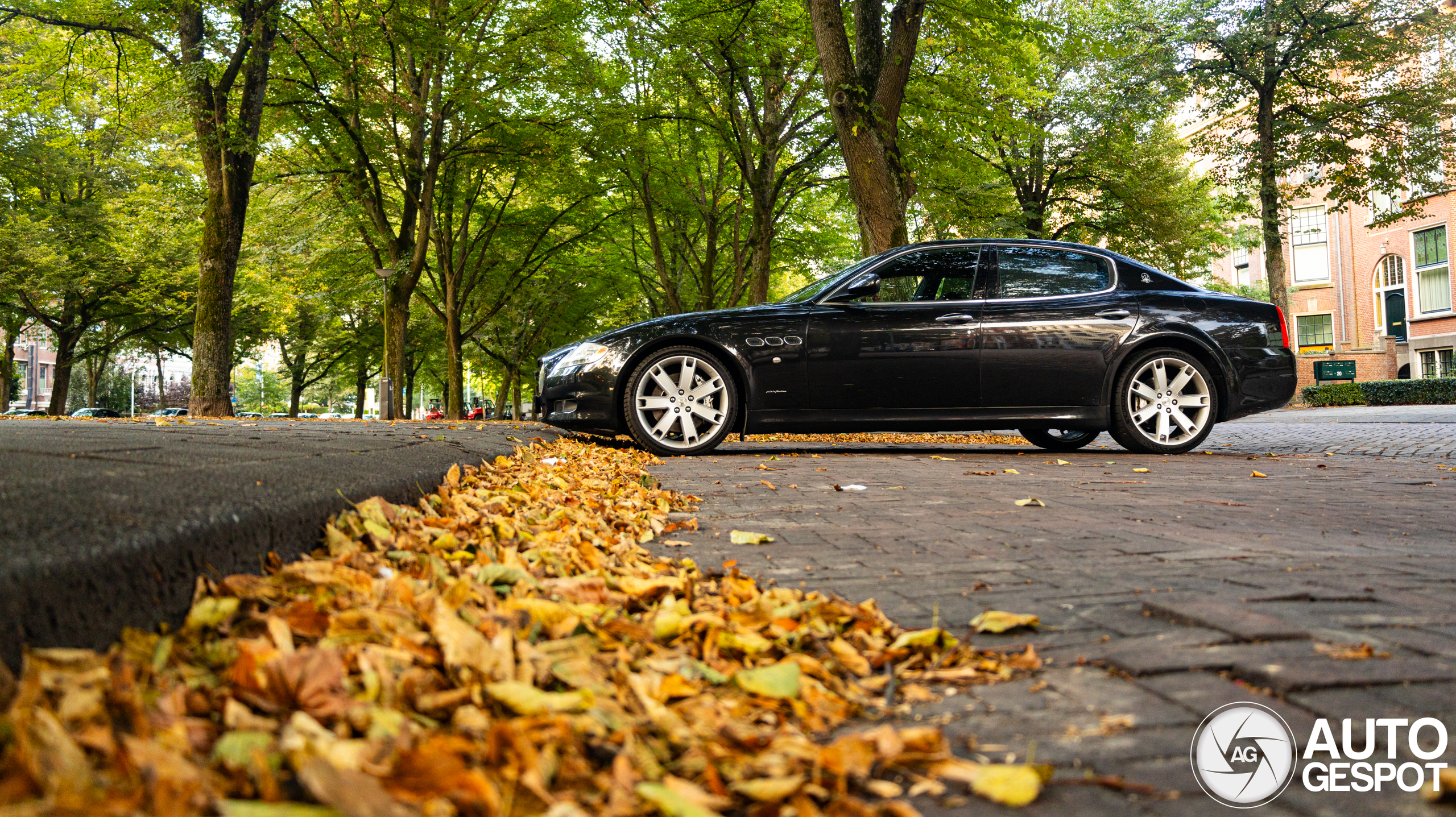 Maserati Quattroporte S 2008