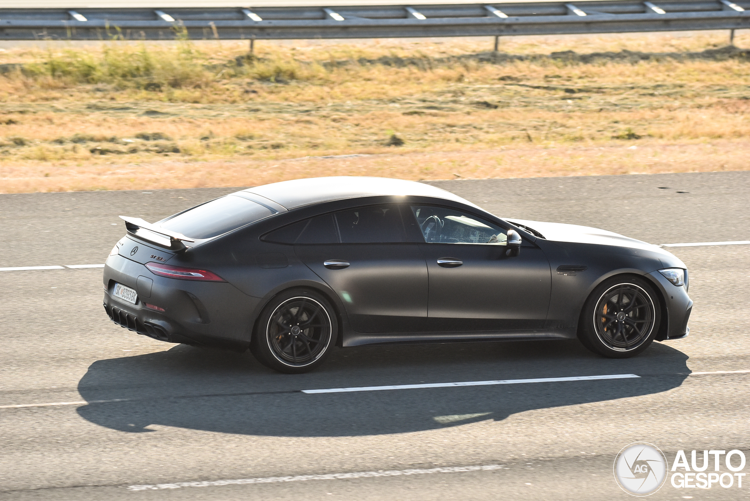 Mercedes-AMG GT 63 S E Performance X290