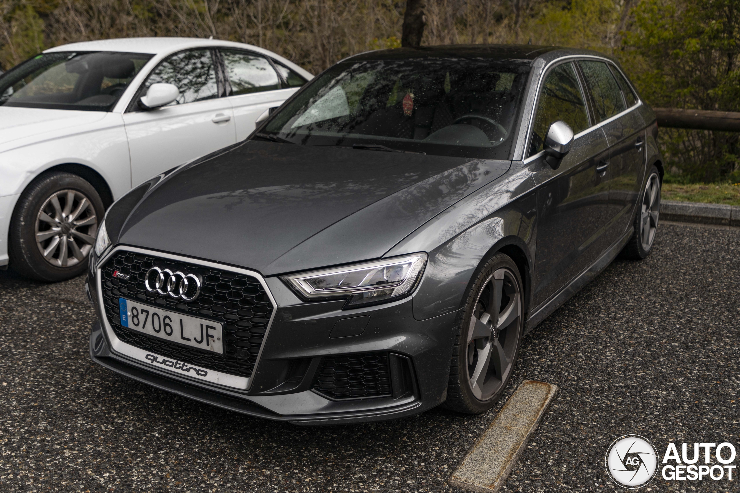 Audi RS3 Sportback 8V 2018