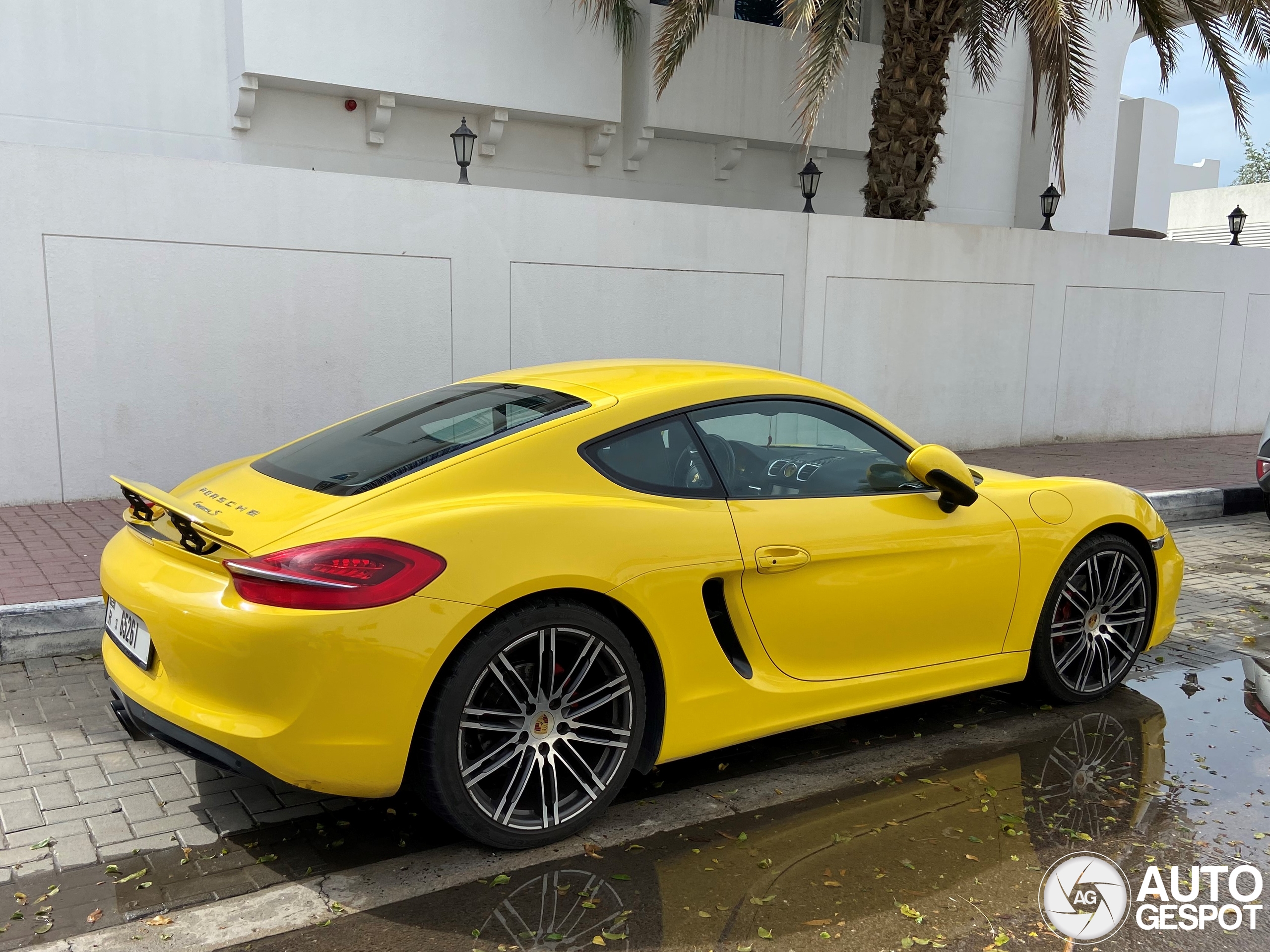 Porsche 981 Cayman S