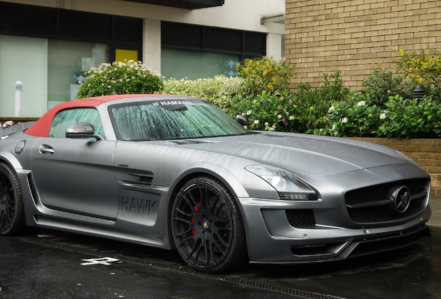 Mercedes-Benz Hamann Hawk SLS AMG Roadster