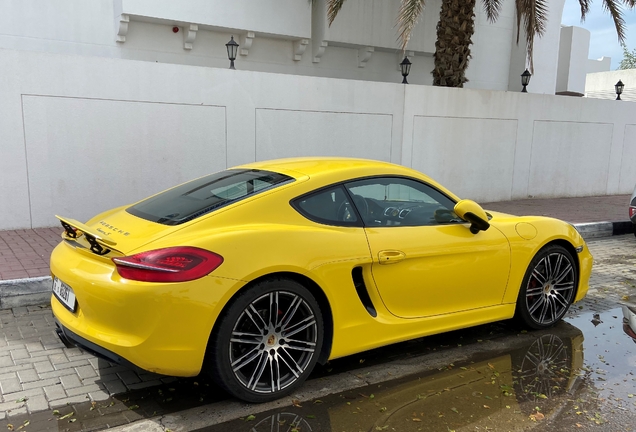 Porsche 981 Cayman S