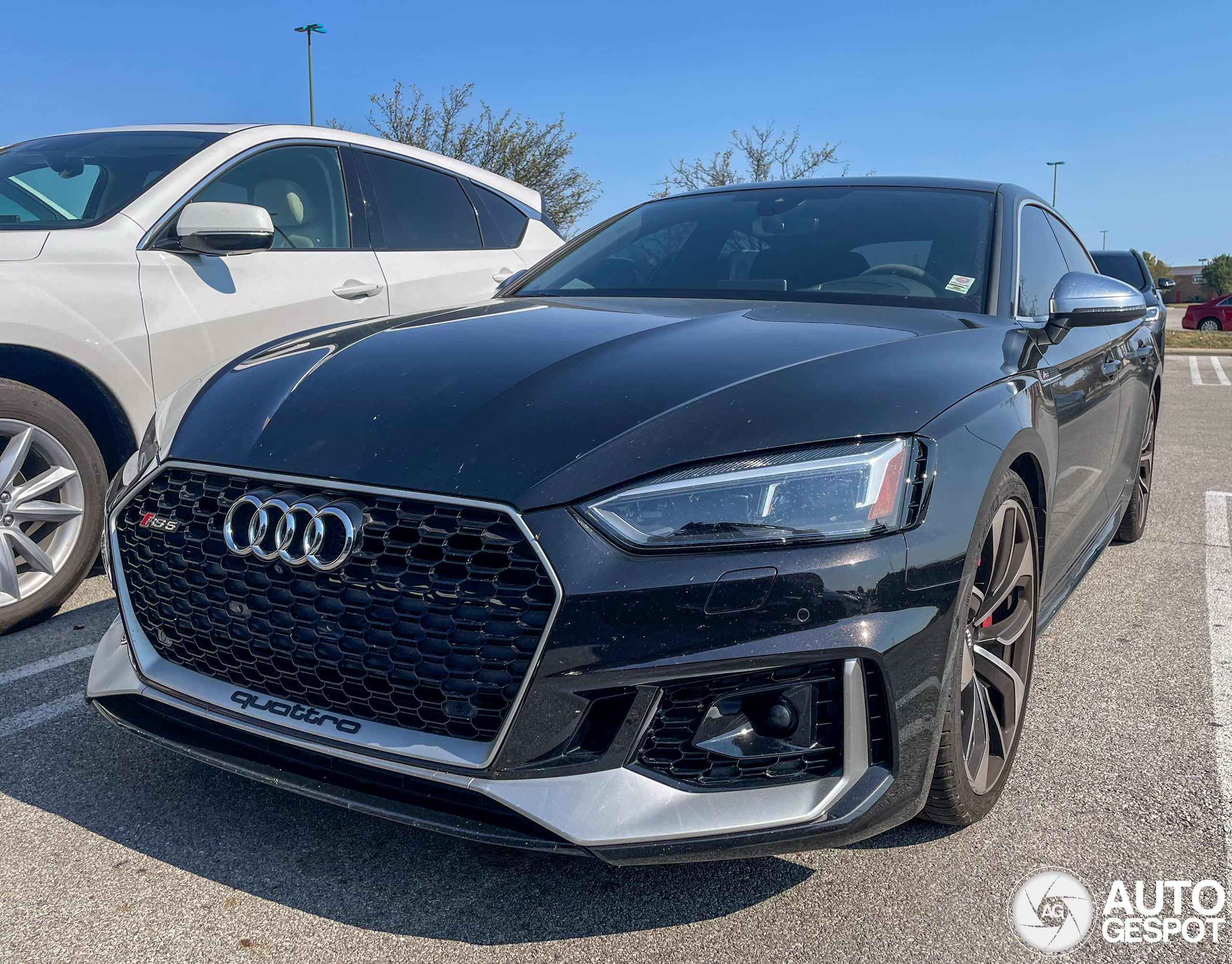 Audi RS5 Sportback B9