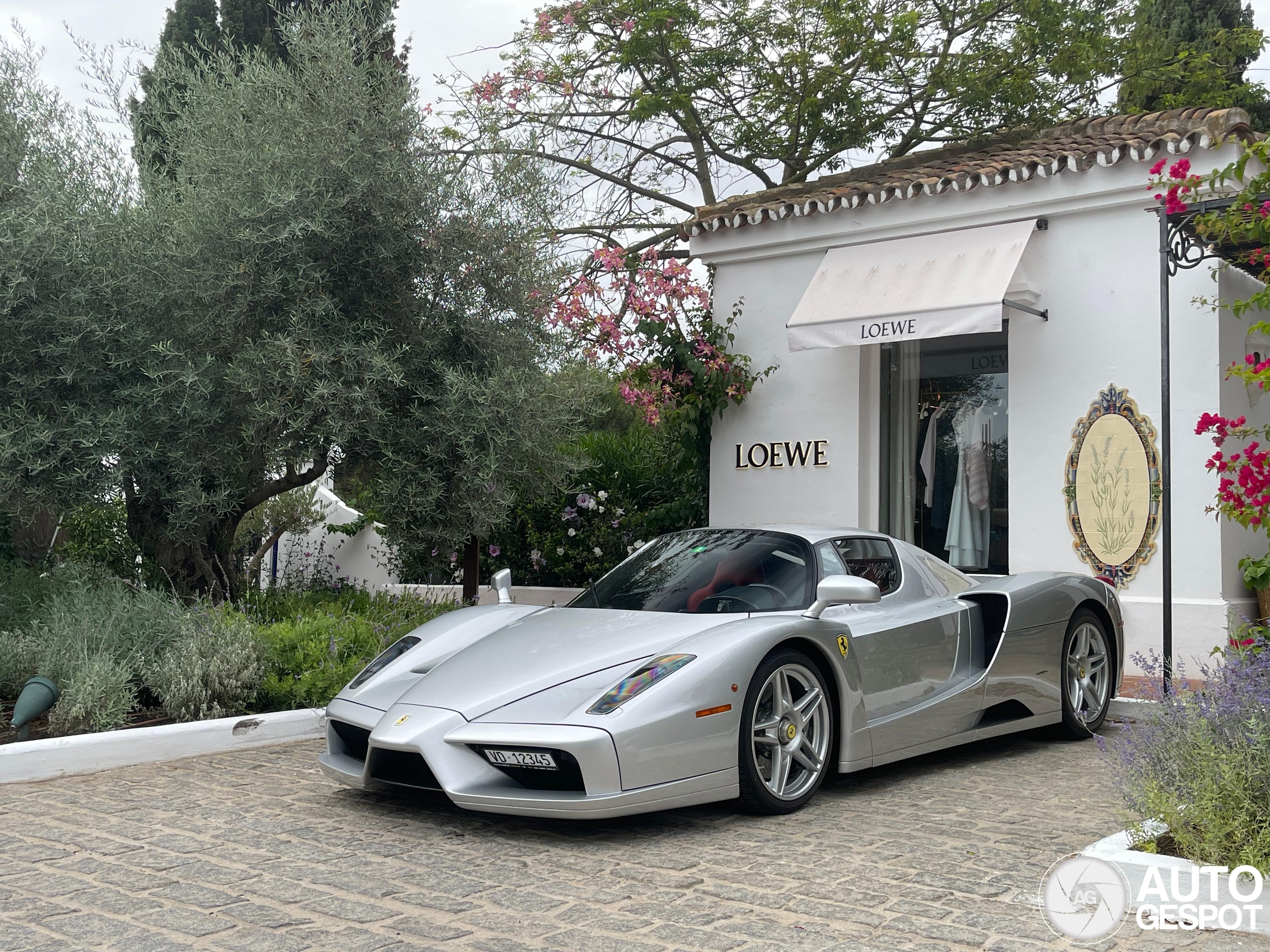 Ferrari Enzo Ferrari