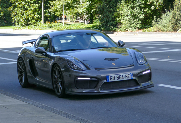 Porsche 981 Cayman GT4