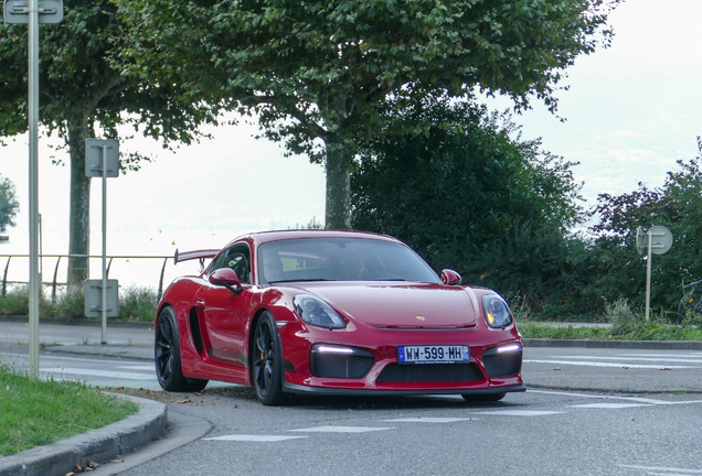 Porsche 981 Cayman GT4