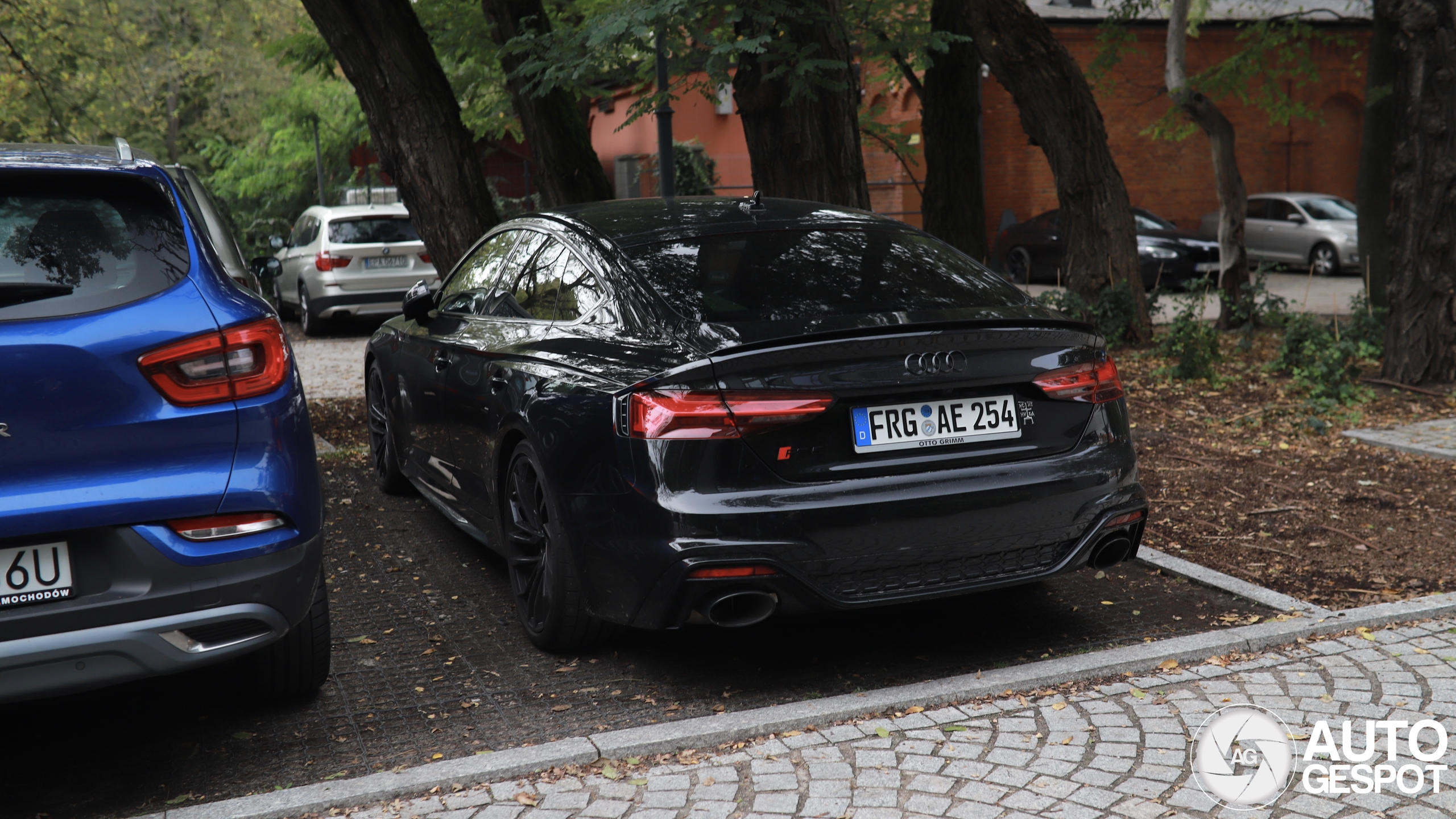 Audi RS5 Sportback B9 2021