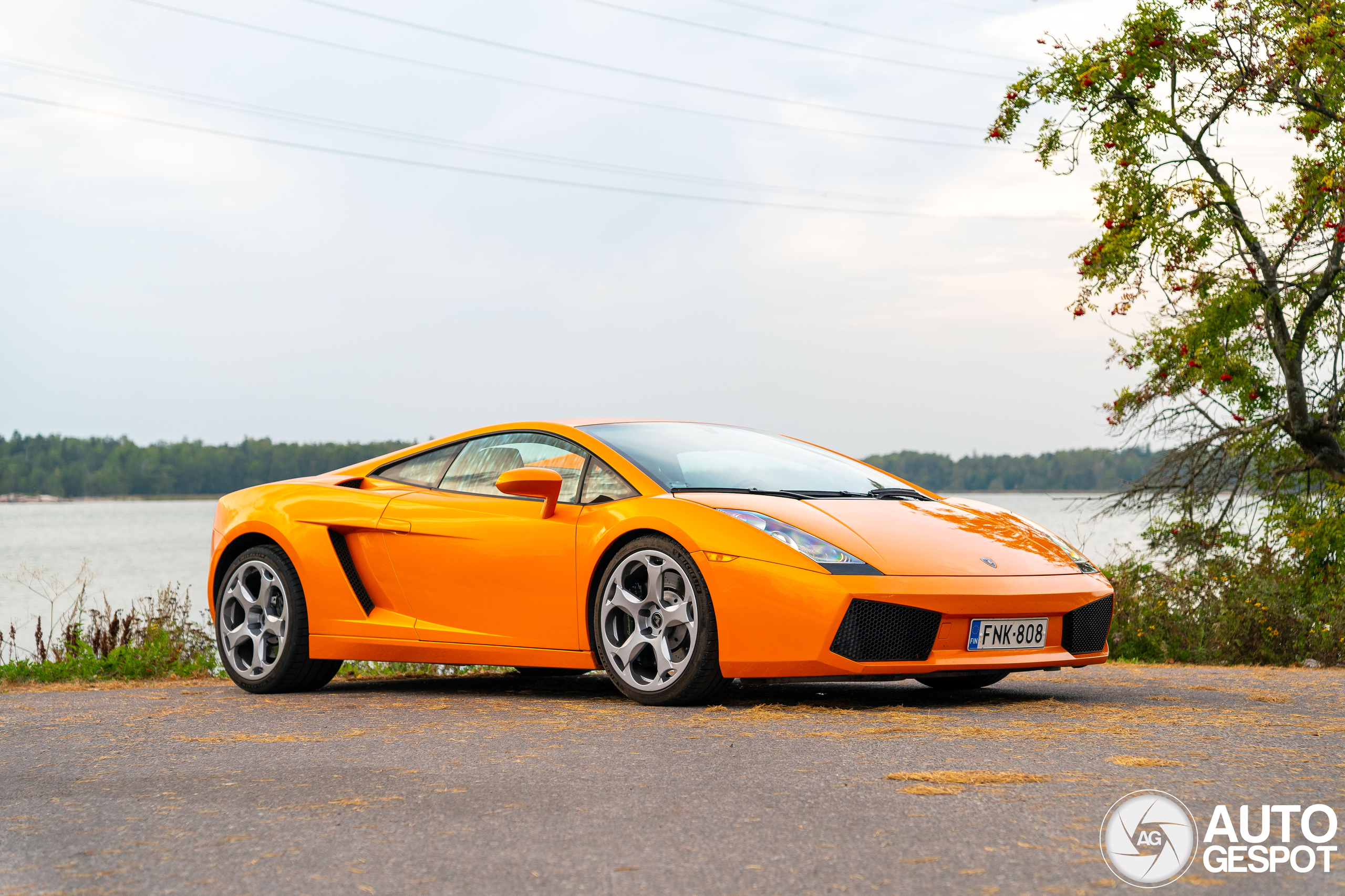 Lamborghini Gallardo