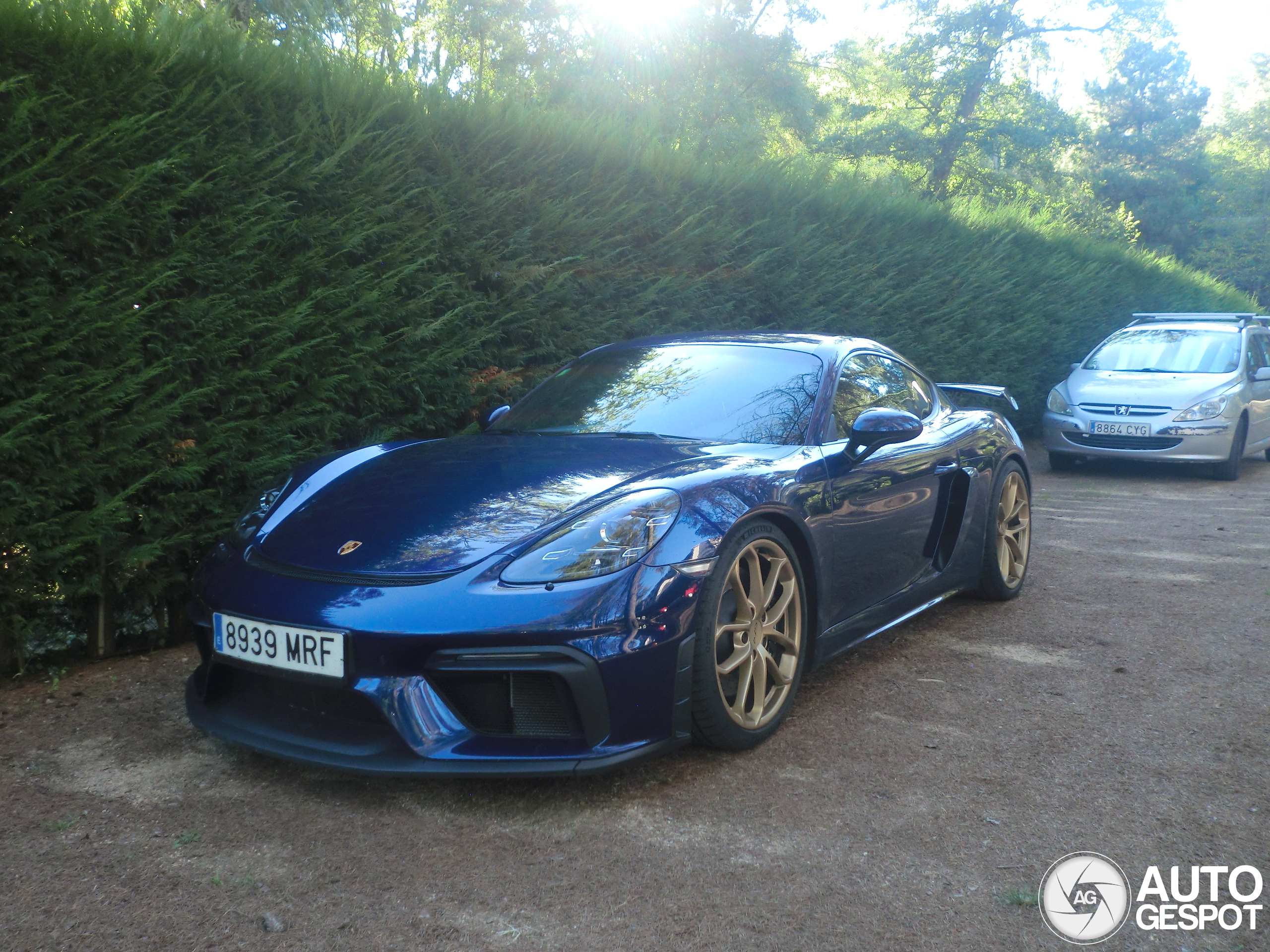 Porsche 718 Cayman GT4