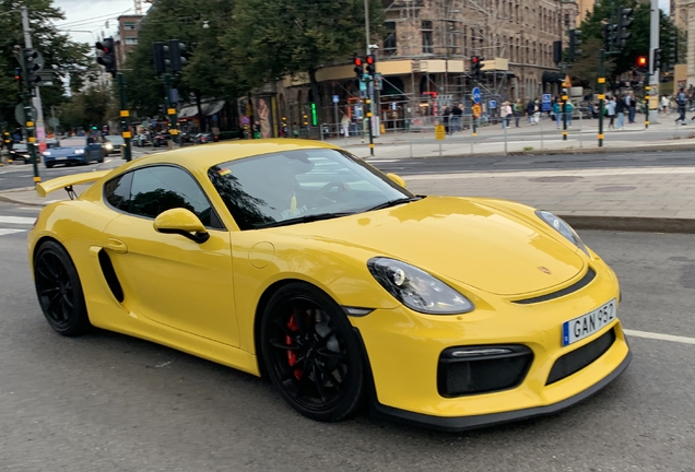 Porsche 981 Cayman GT4