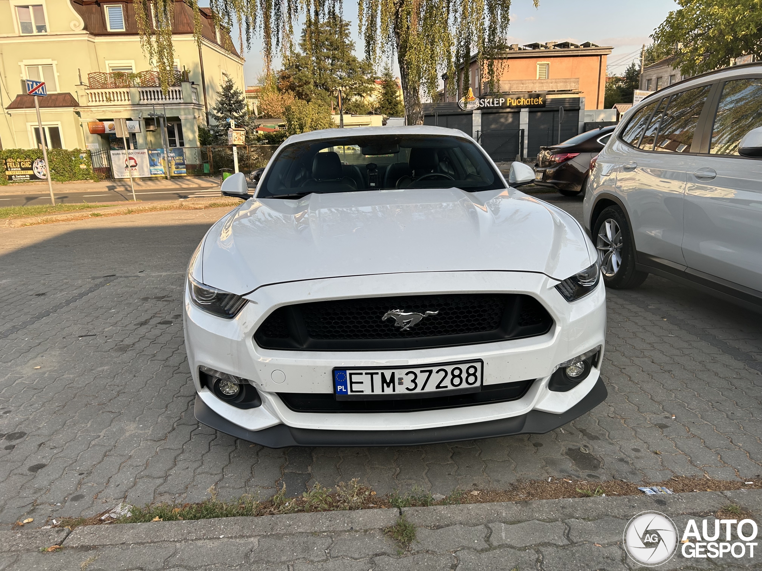 Ford Mustang GT 2015