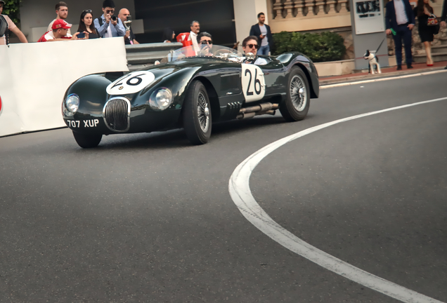 Jaguar C-Type Continuation