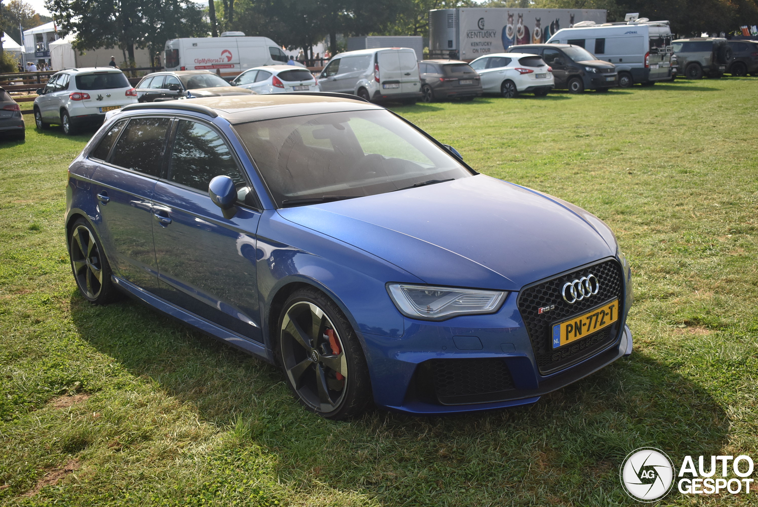 Audi RS3 Sportback 8V