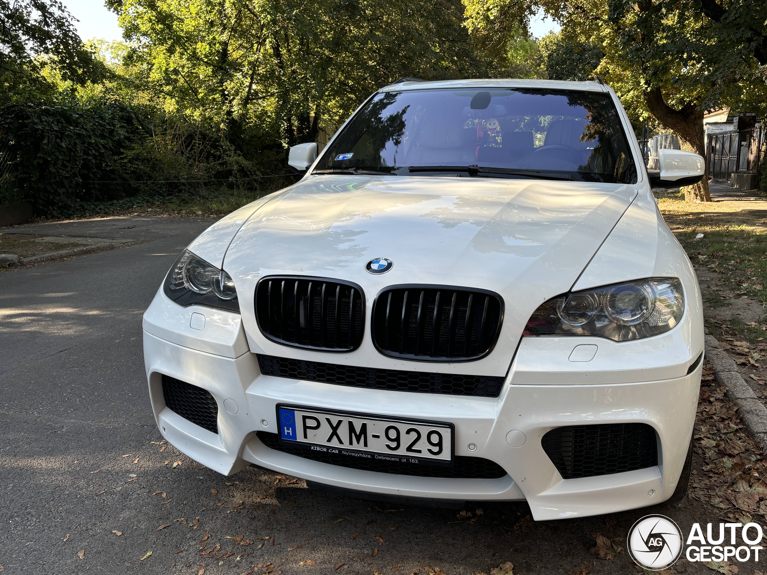 BMW X5 M E70