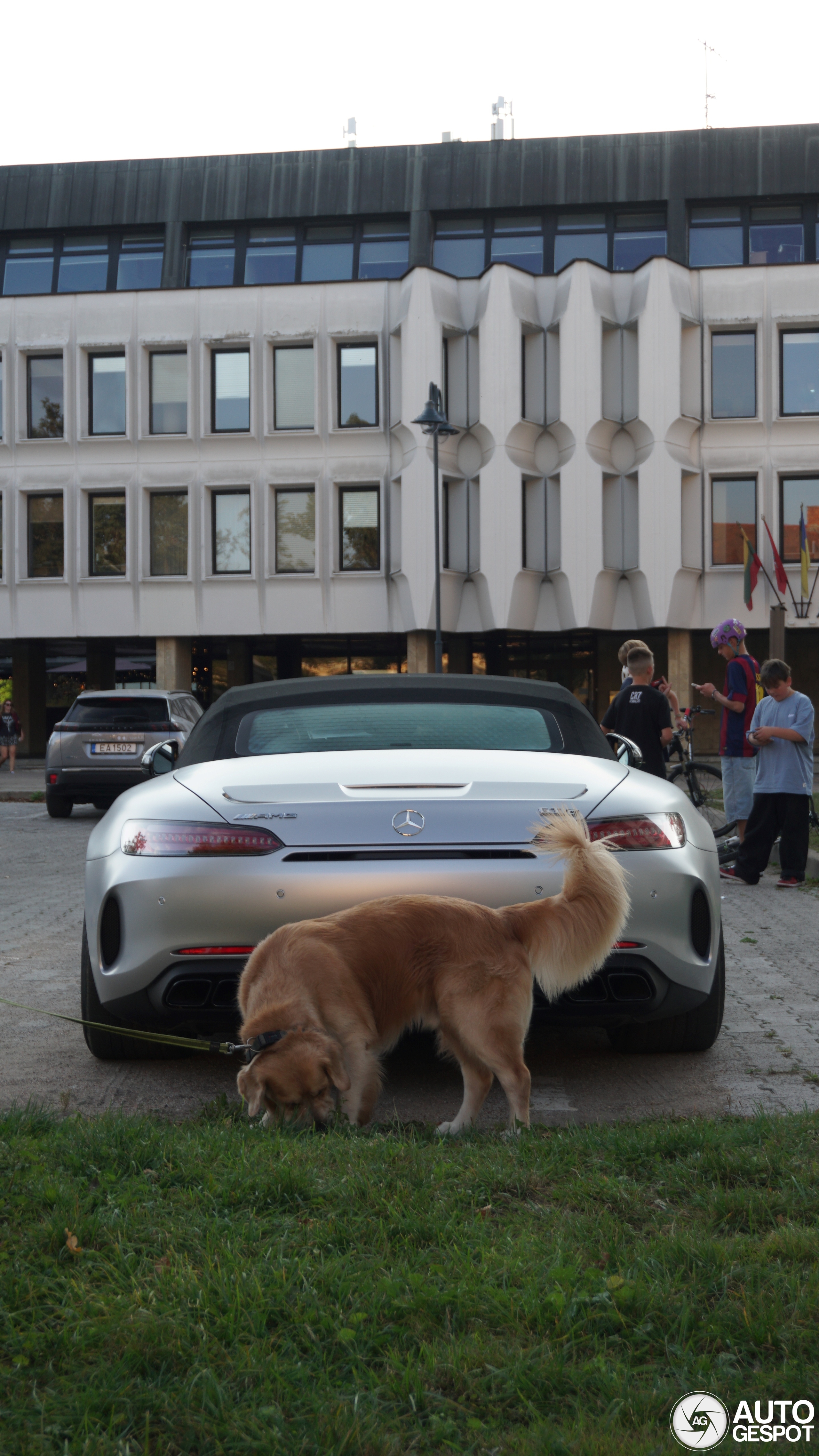 Mercedes-AMG GT C Roadster R190 2019