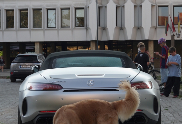 Mercedes-AMG GT C Roadster R190 2019